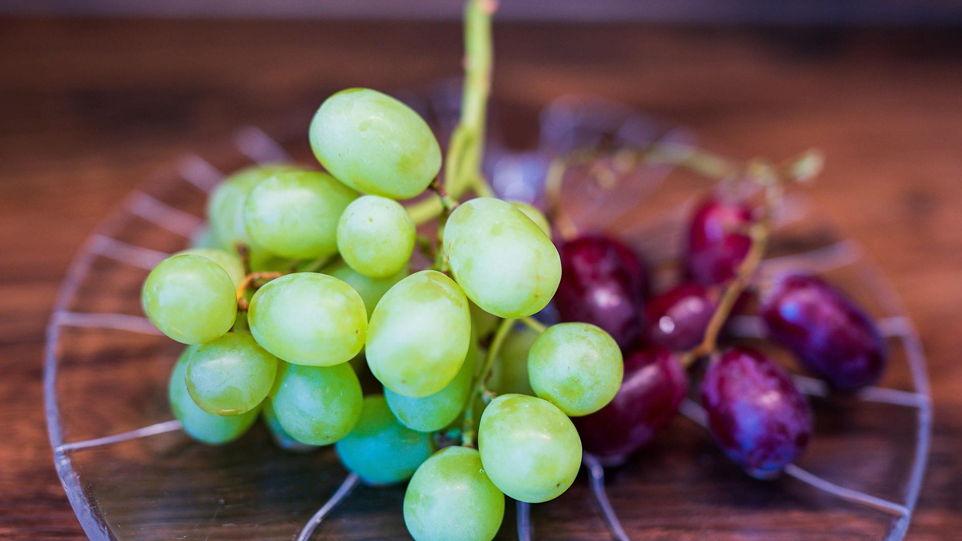 Dringender Rewe-Rückruf: Weintrauben mit Insektizid belastet