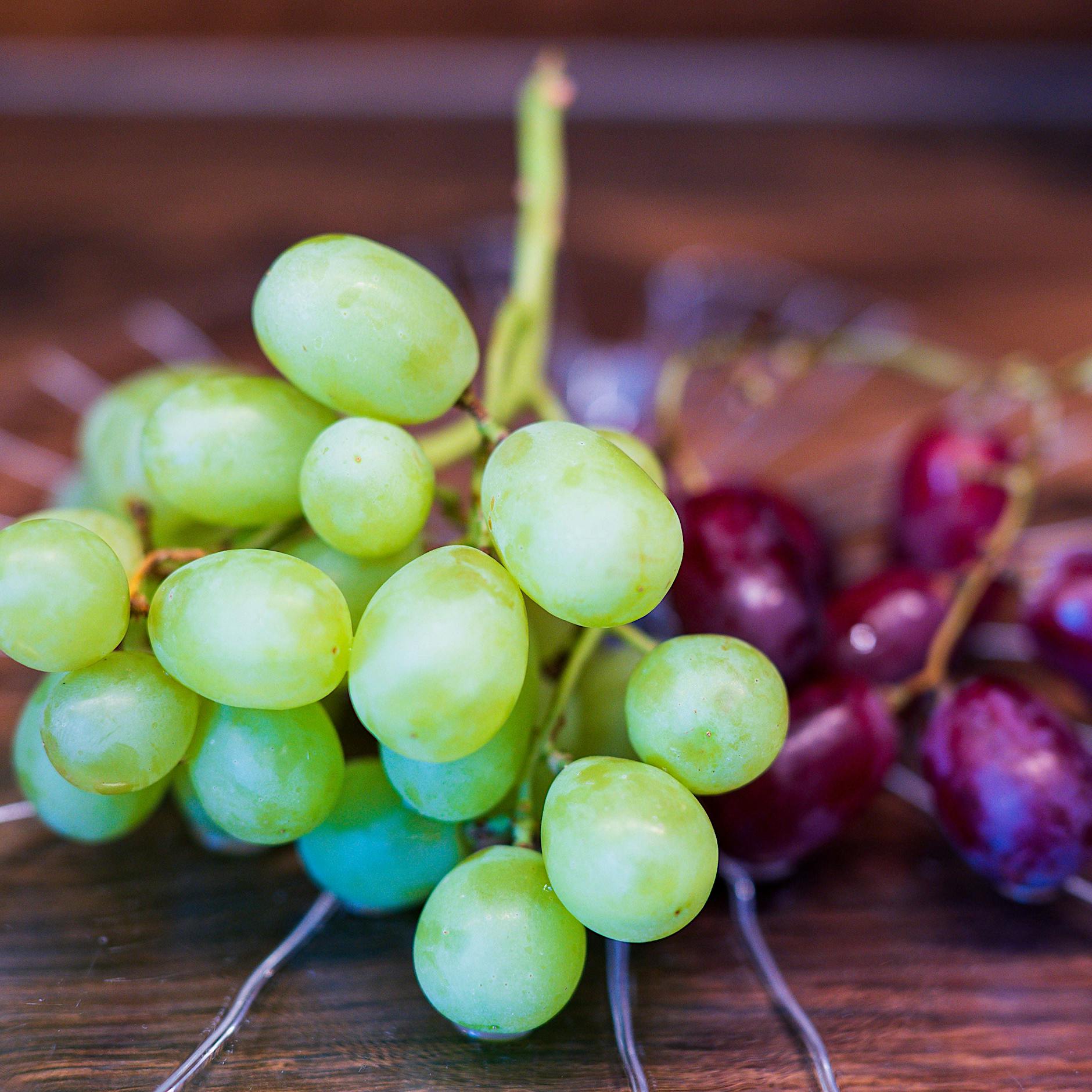 Dringender Rewe-Rückruf: Weintrauben mit Insektizid belastet
