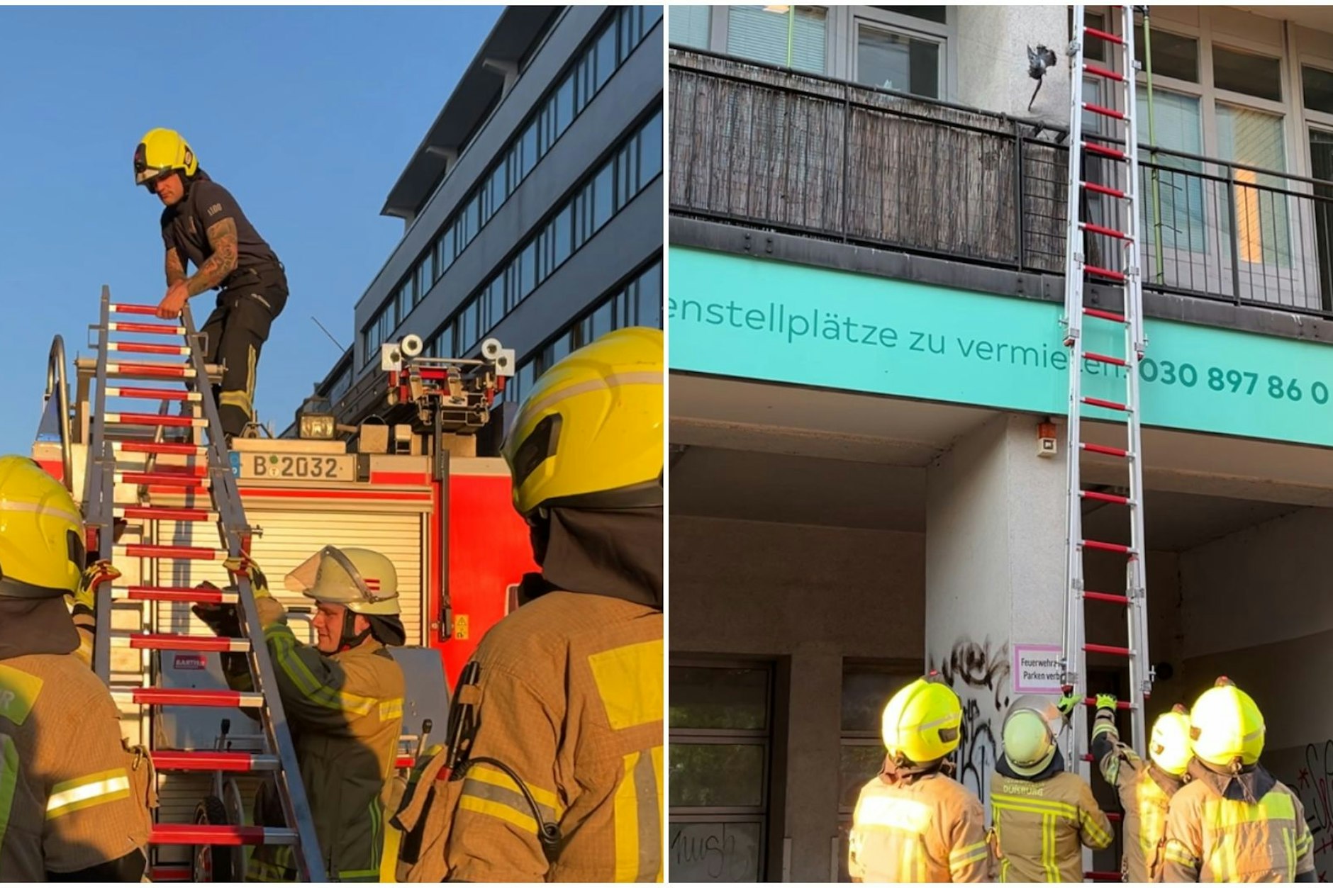 Die Berliner Feuerwehr hilft, als eine verzweifelte Kreuzberger-Taube den Kiez um den Moritzplatz beunruhigte, weil sie sich tragisch verfing.