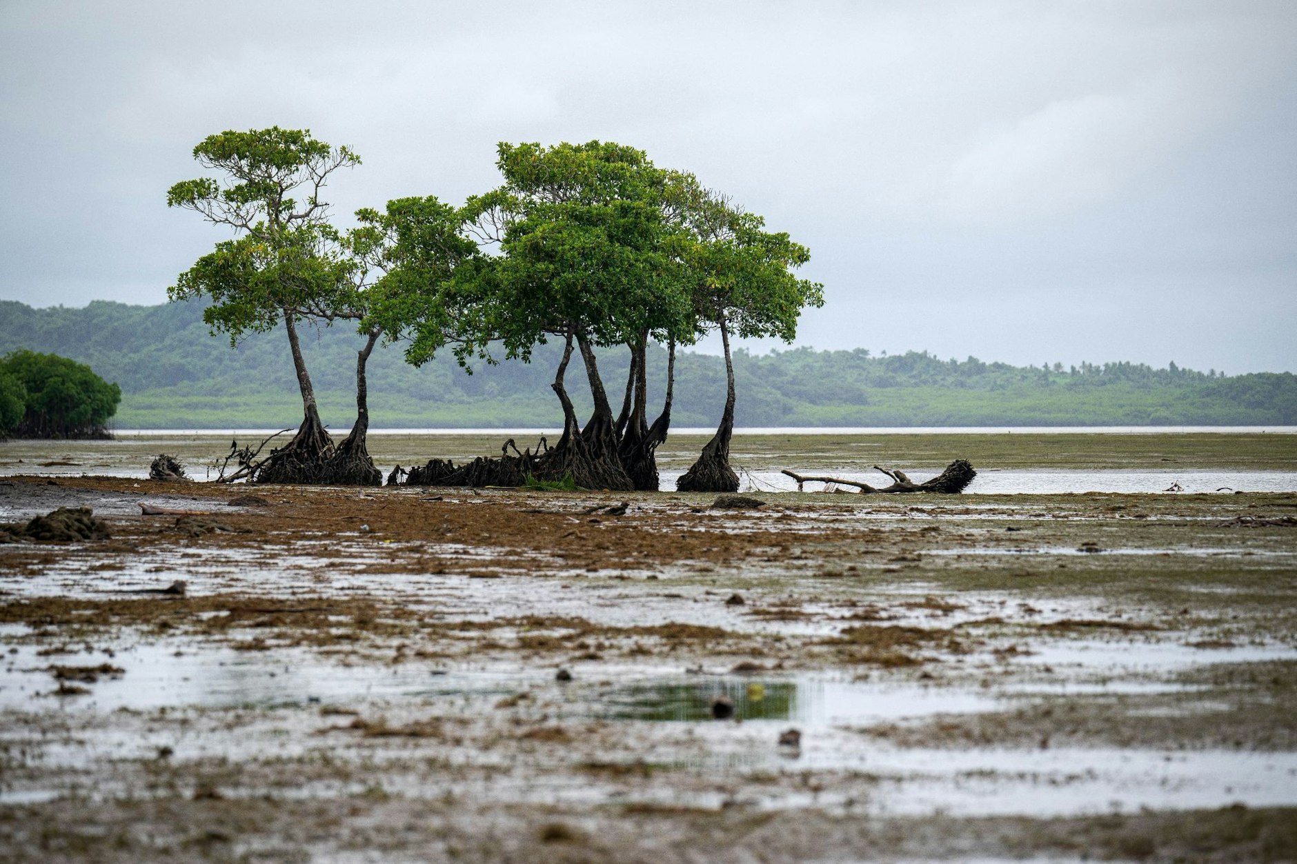 Fidschi gilt als eine der am stärksten von der Klimakrise betroffenen Regionen der Welt.