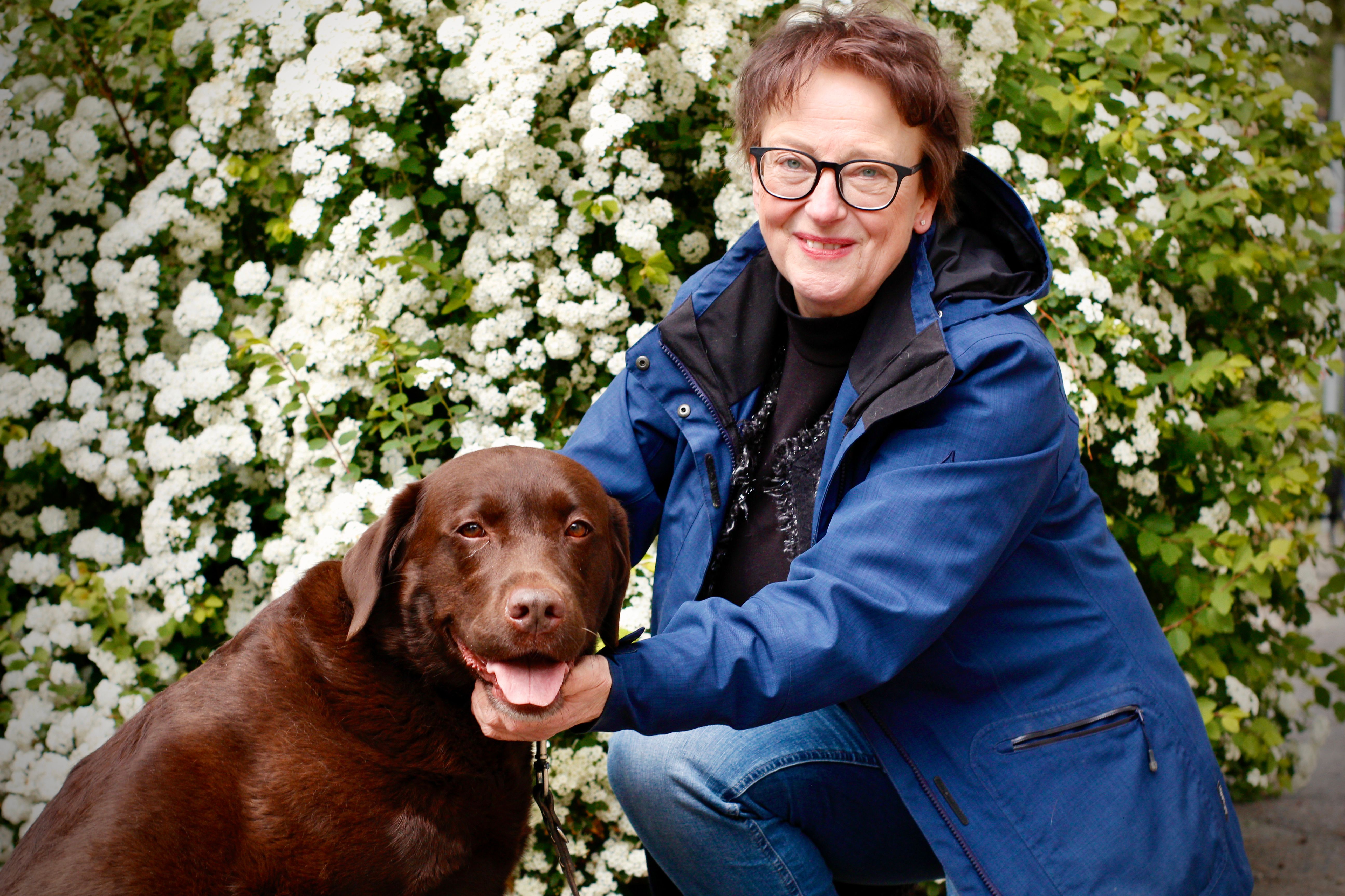 VIDEO: Nala, die charmante Labradorhündin von Moabit!