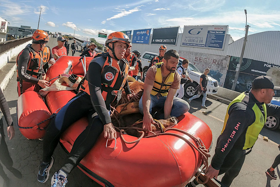 Feuerwehrleute transportieren ein Pferd auf einem Schlauchboot, nachdem sie es nach schweren Regenfällen von einem Dach gerettet haben.