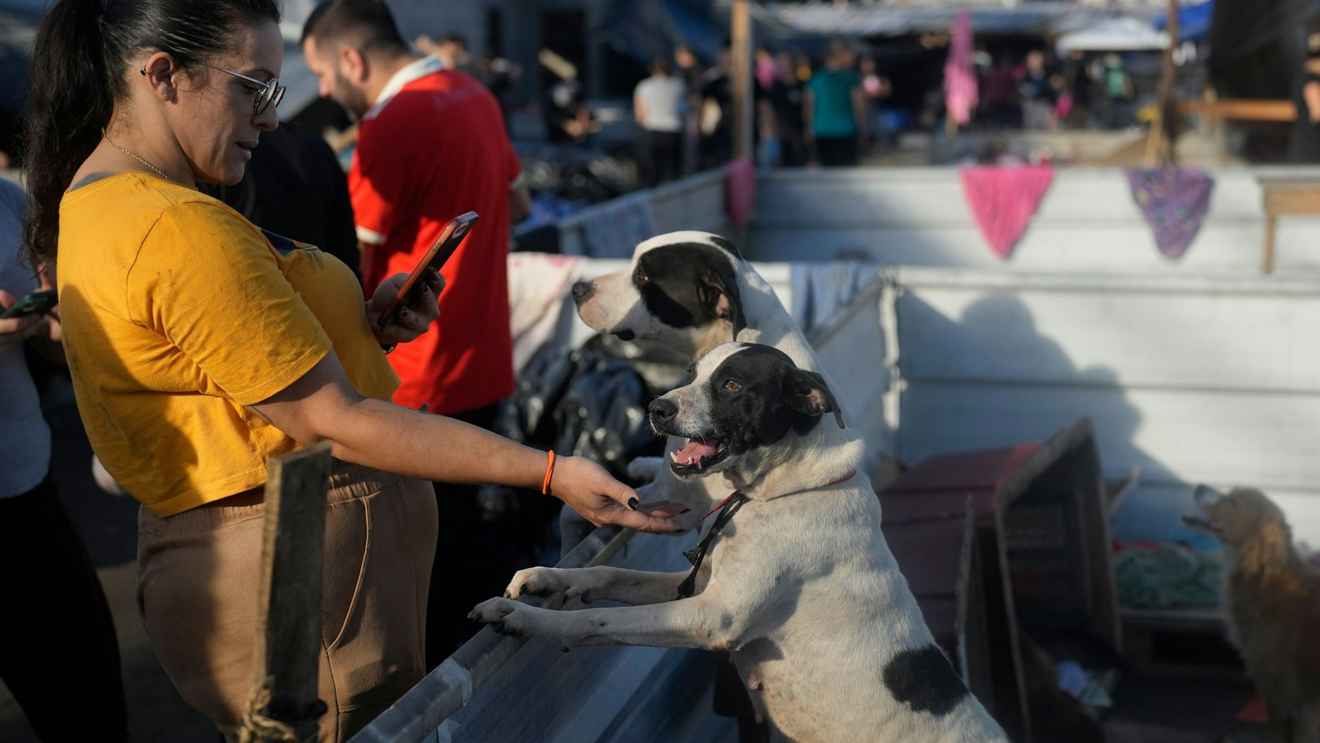 Im Tierheim in Canoas sind viele Hunde untergekommen, die aus den Fluten gerettet wurden.
