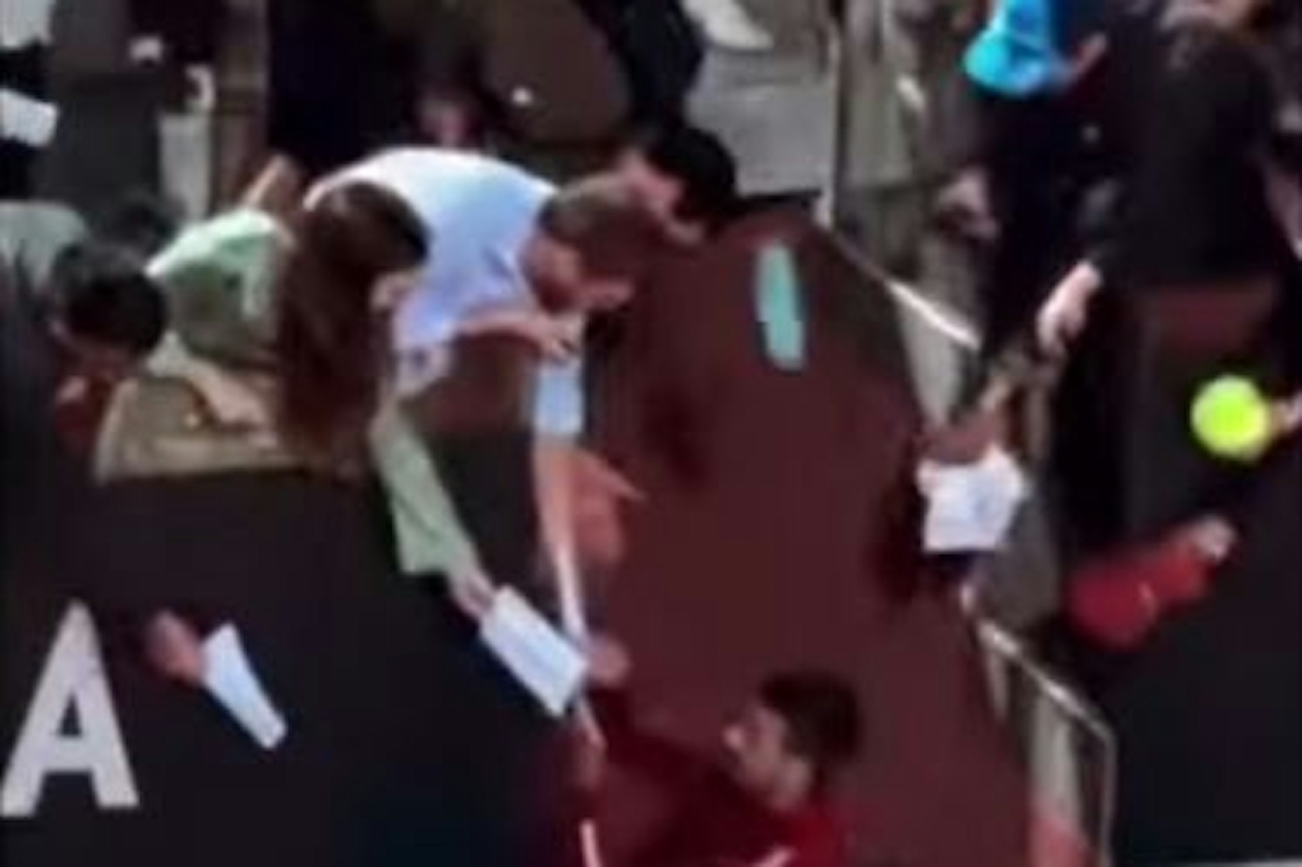 Hier fliegt die Flasche in Richtung Djokovic.