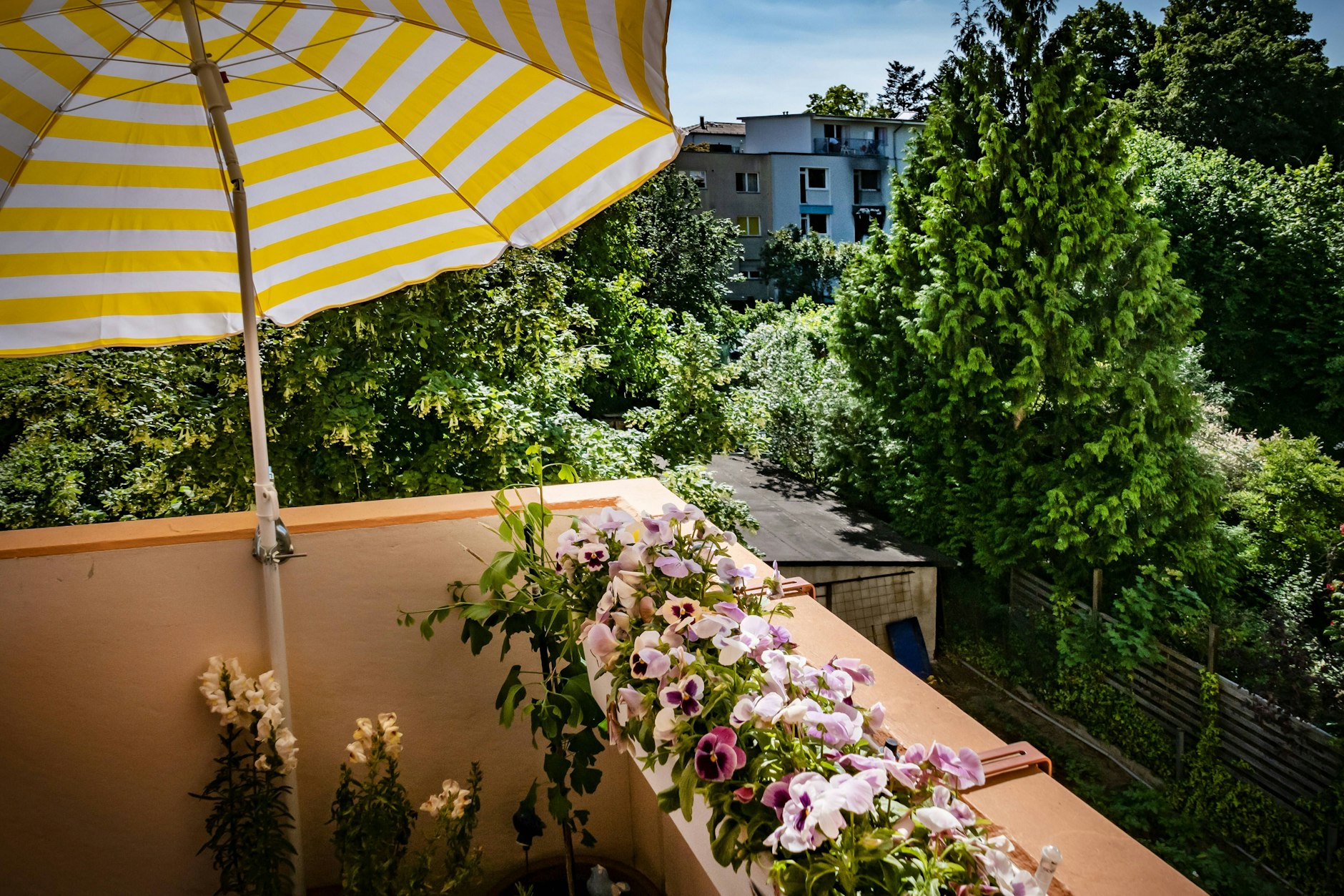 Berlin, der Sommer ist da!! Schöner, strahlender Wochenstart verspricht die Wettervorhersage! 