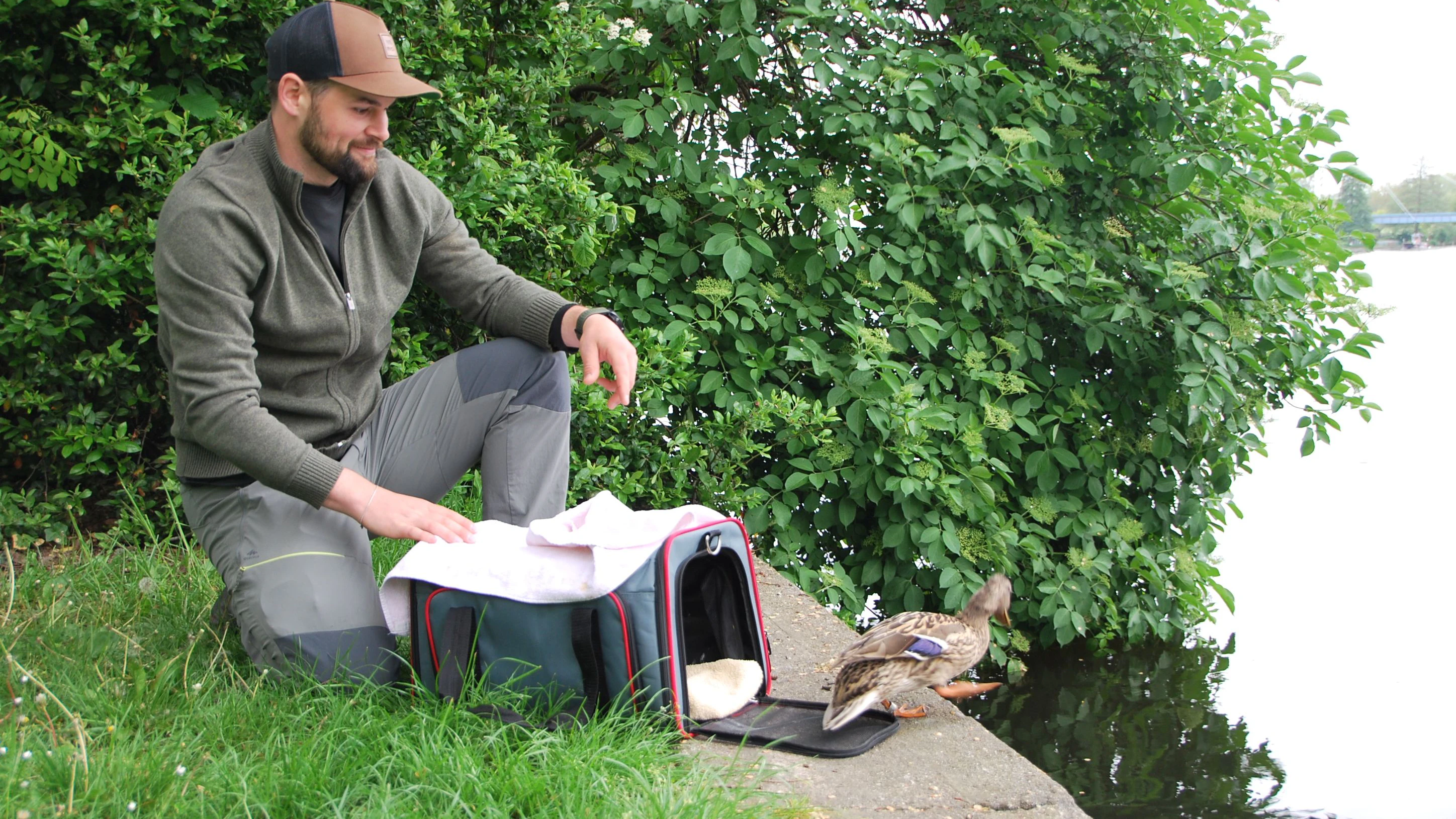 Marc Engler, Chef der Nabu-Wildvogelstation, lässt die Enten-Mama und ihre Küken im Park am Stichkanal in Berlin-Köpenik in die Müggelspree.&nbsp;