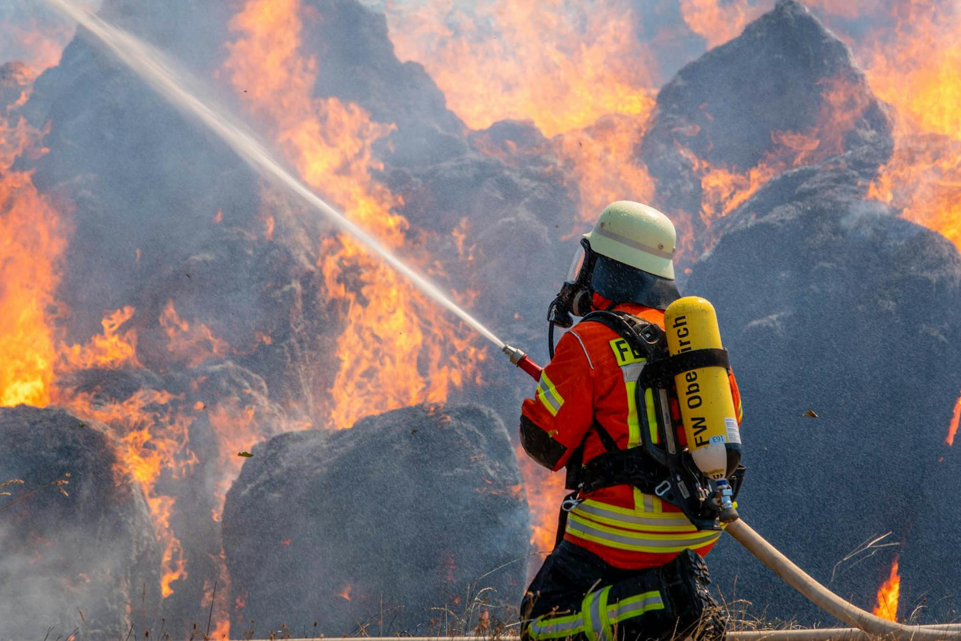 Das Wetter bleibt heiß in Berlin und Brandenburg: In fünf Landkreisen galt am Montag die höchste Waldbrandstufe fünf. Am Dienstag sollte die Zahl der davon betroffenen Landkreise voraussichtlich auf 13 von insgesamt 14 steigen, wie Engel sagte. Nur in der Uckermark gelte voraussichtlich dann noch die Stufe vier (Symbolbild).