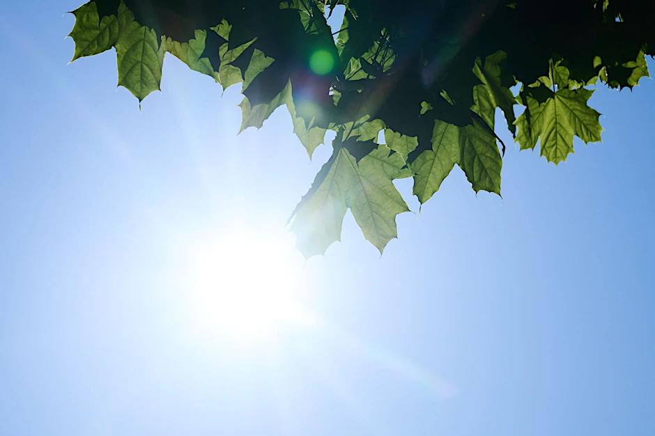 ARCHIV - Schon am frühen Morgen scheint die Sonne von einem nahezu wolkenlosen Himmel.  