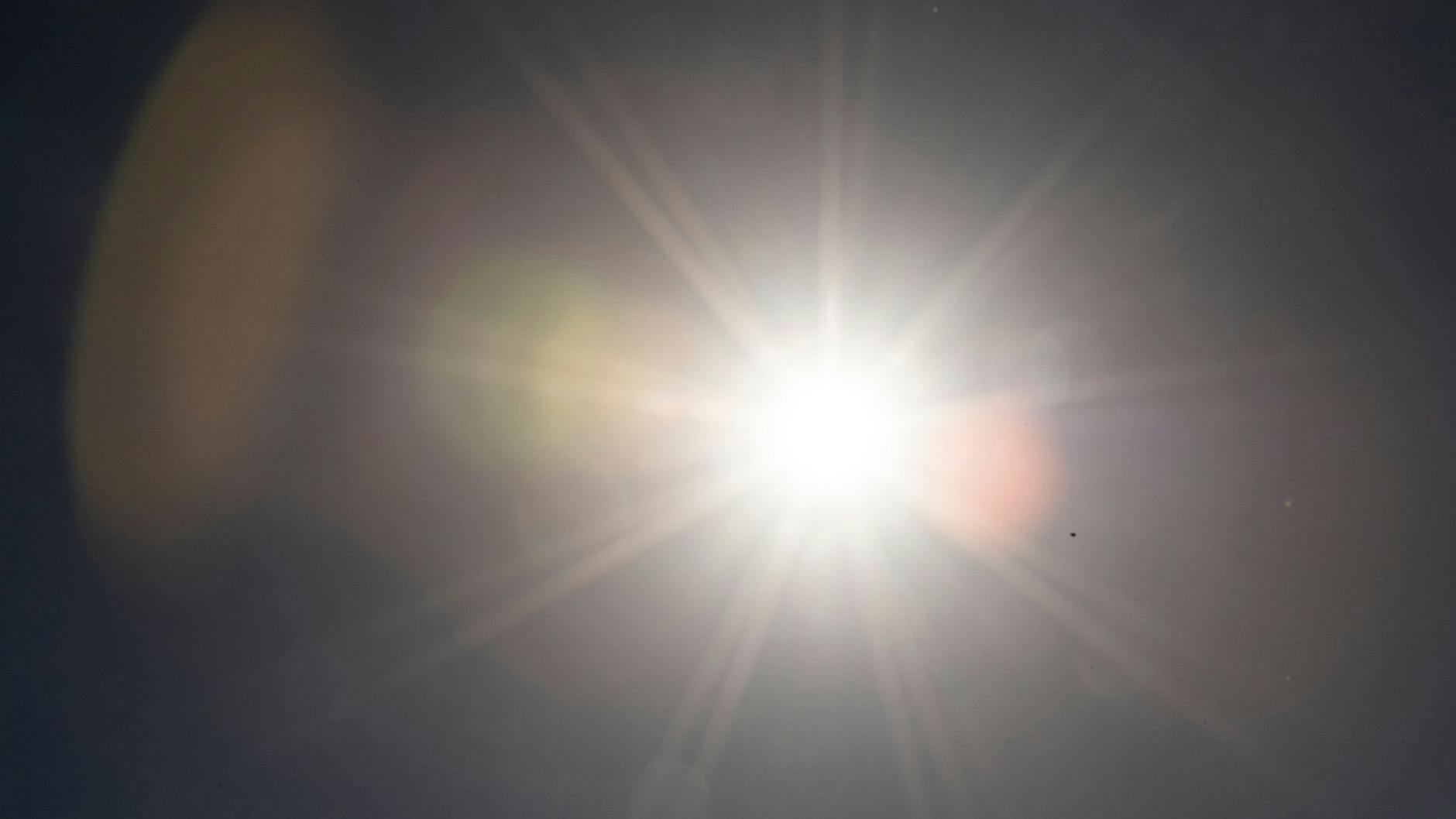 Wenn die Sonne kräftig scheint, gefällt das nicht jedem. 