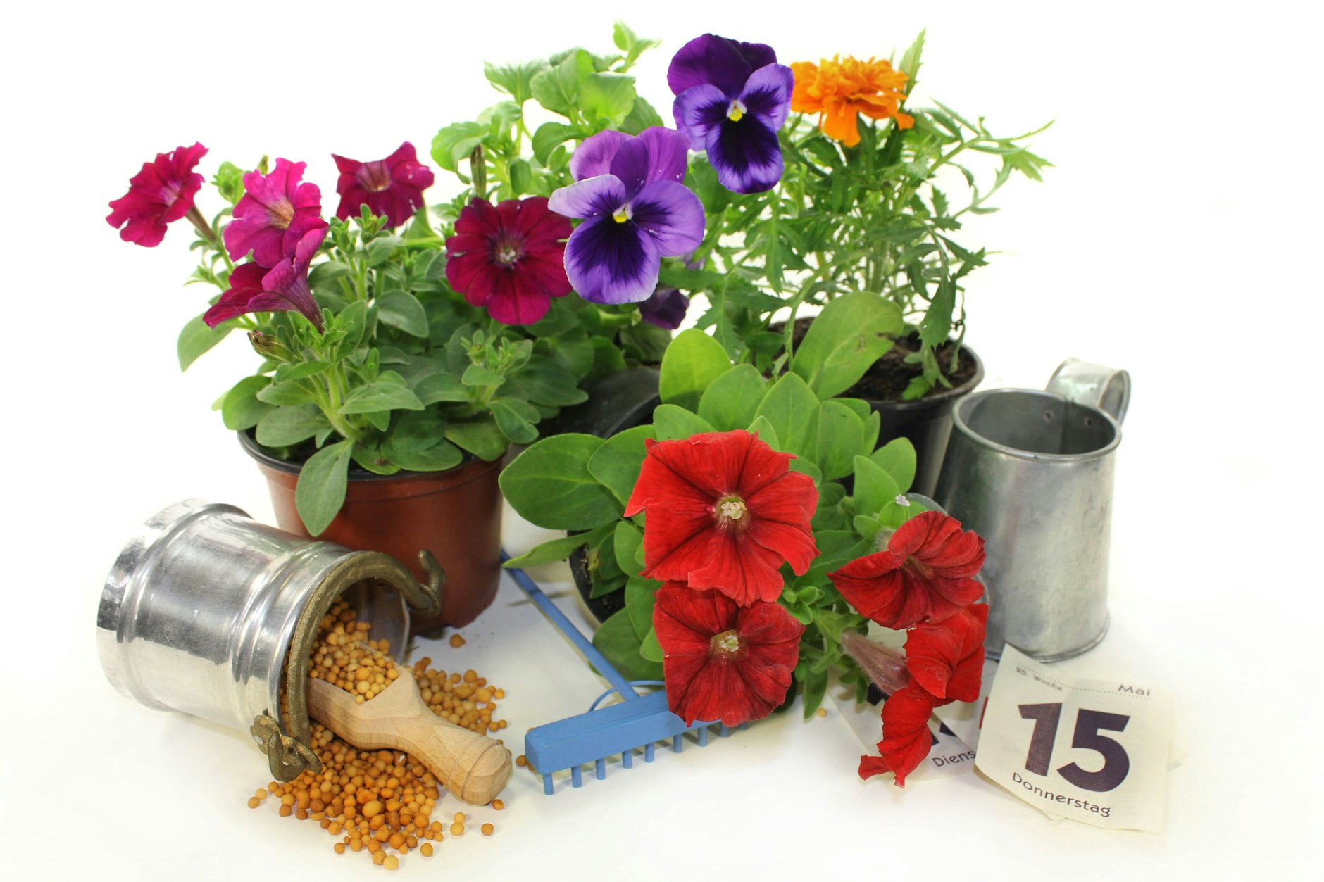 „Pankraz, Servaz, Bonifaz machen erst dem Sommer Platz“, hieß es immer. Doch so ganz stimmt das nicht mehr.