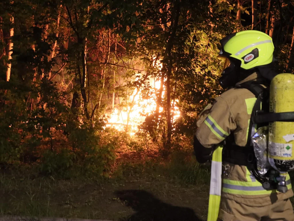Vegetationsbrände: Feuerwehr in Rummelsburg und am Schlachtensee im Einsatz