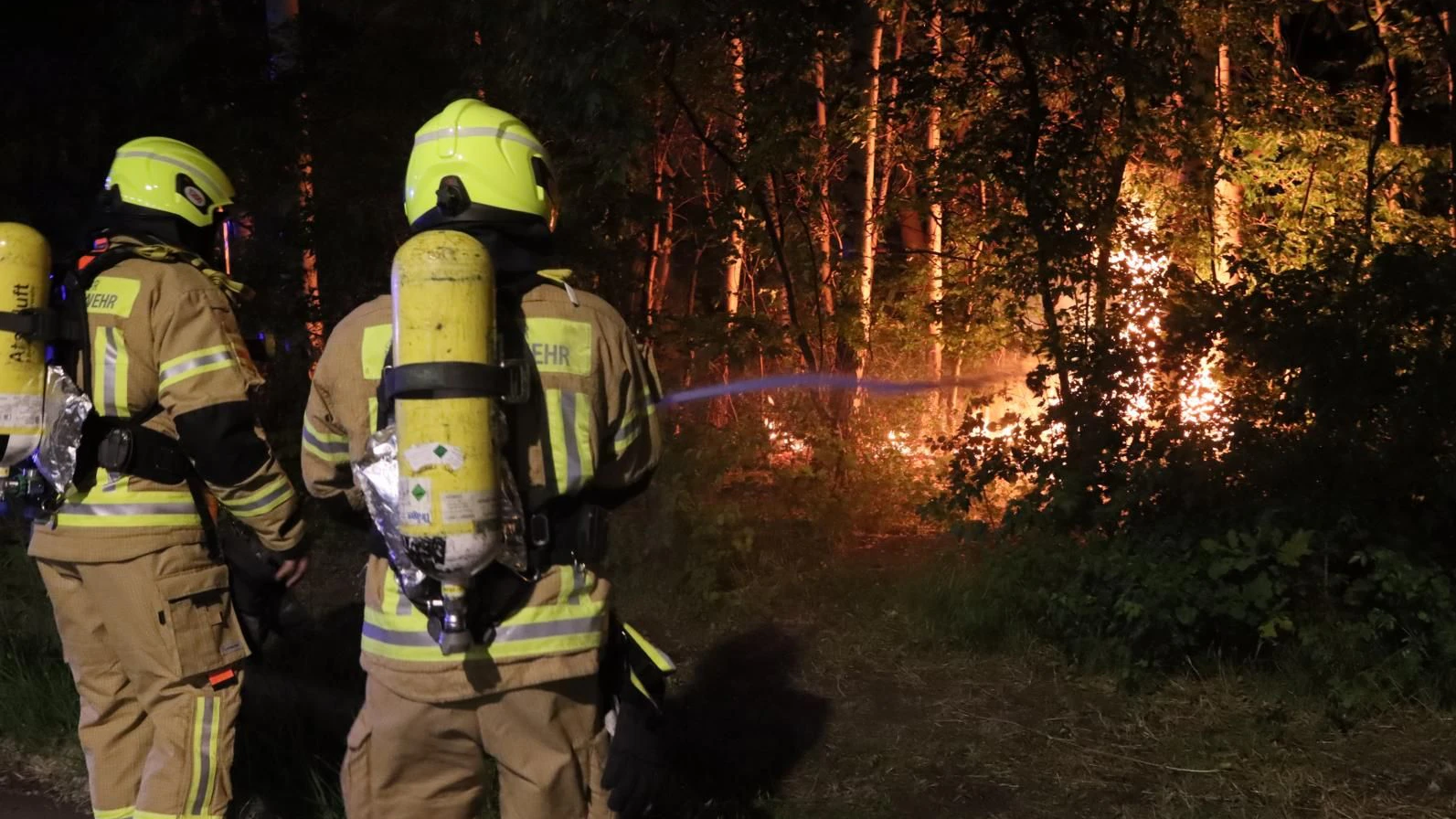 Die Berliner Feuerwehr bei Löscharbeiten im Park an der Zobtener Straße.