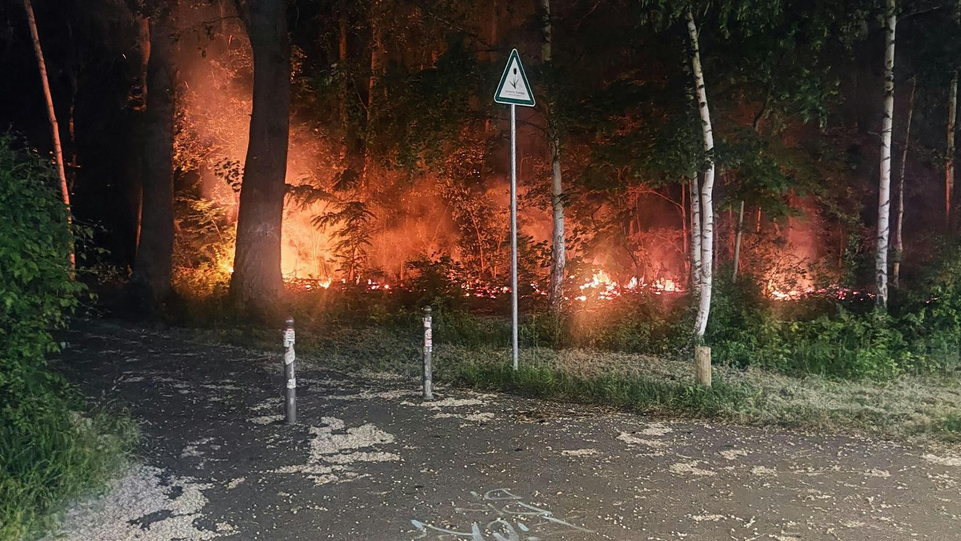 Auf bis zu 30 Metern stand das Buschwerk in der Grünanlage gegenüber dem Betriebsbahnhof Rummelsburg in Flammen.