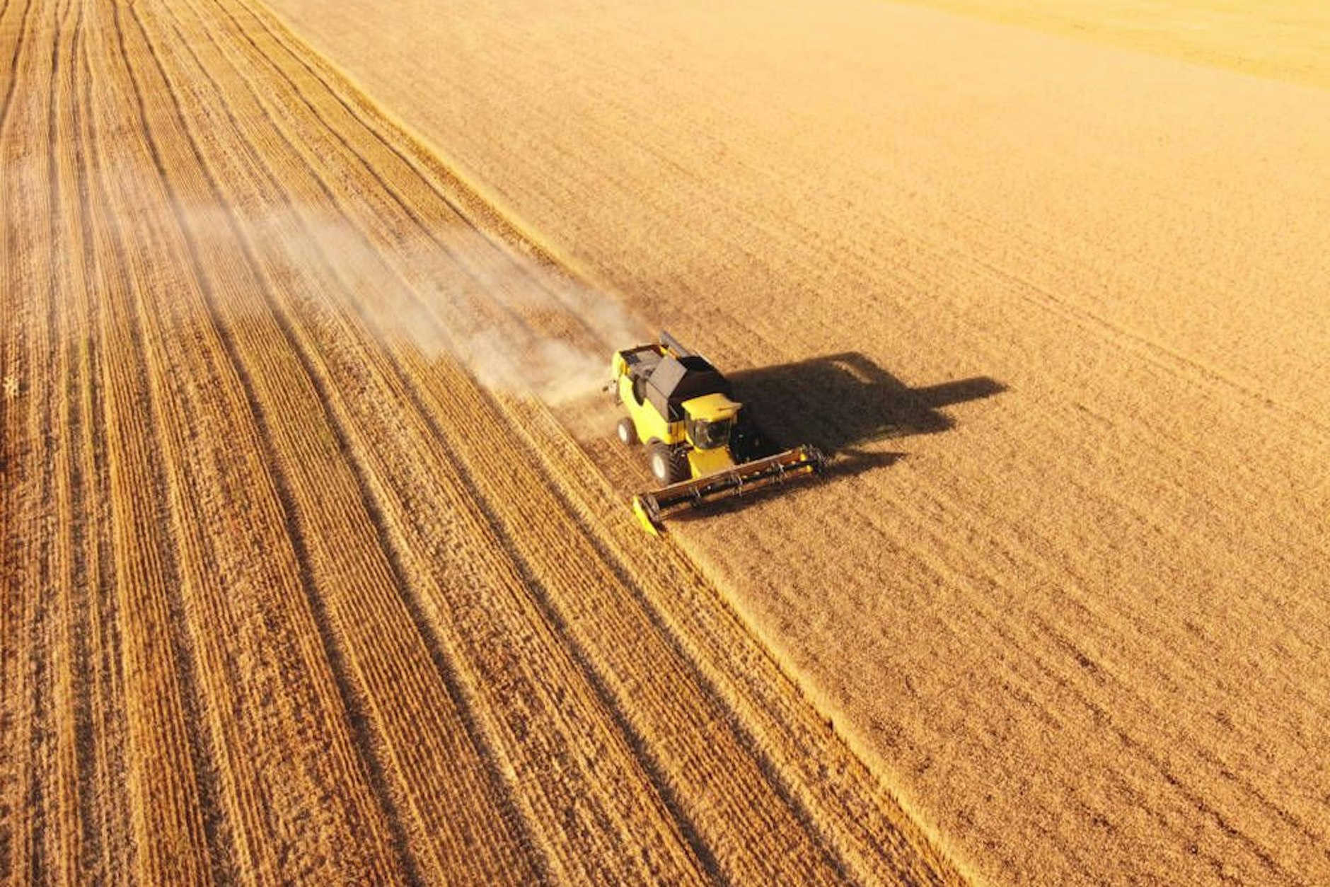 Getreideernte in der Ukraine