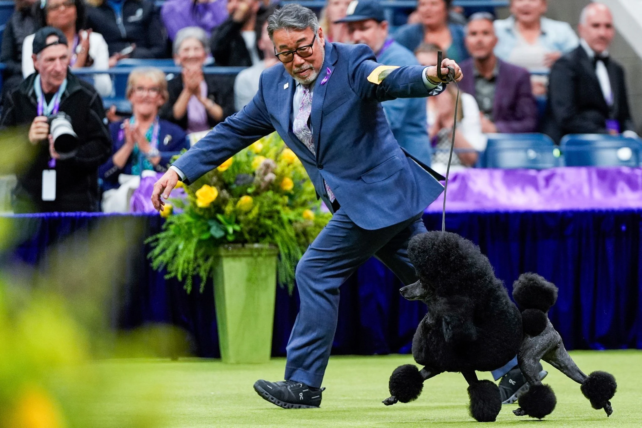 dpatopbilder - Manege frei: Zwergpudel Sage und ihr Herrchen Kaz Hosaka treten in der Westminster Dog Show, der ältesten Hundeshow der Welt, in New York auf - und brillieren: Sage belegt den ersten Platz.  