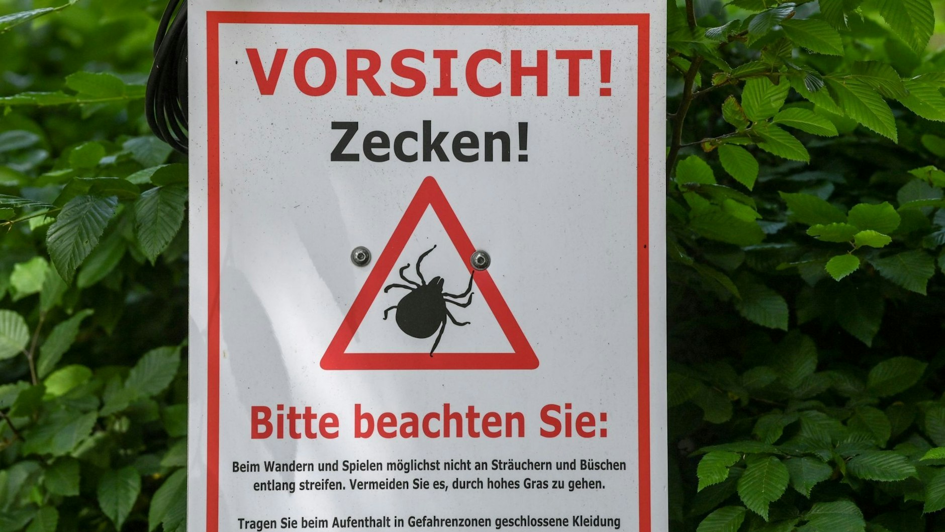 Ein Warnschild im Biosphärenreservat Schorfheide-Chorin (Brandenburg).