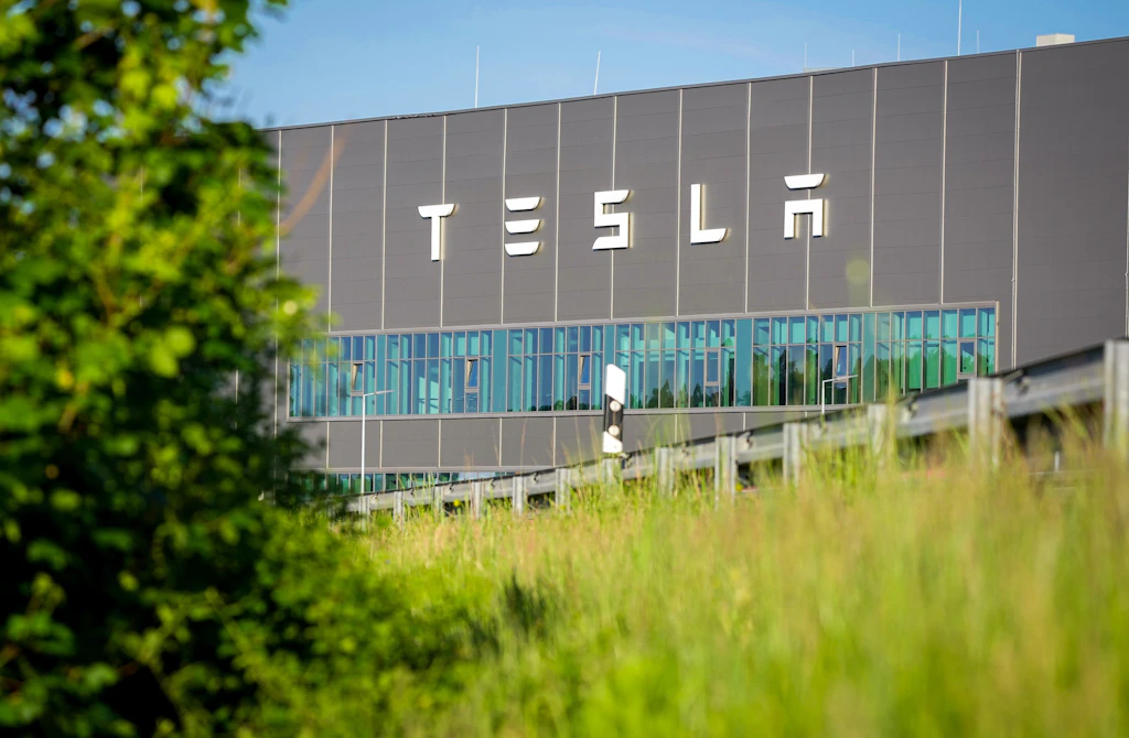 Tesla darf 50 Hektar Wald roden, Umweltschützer sind auf dem Baum