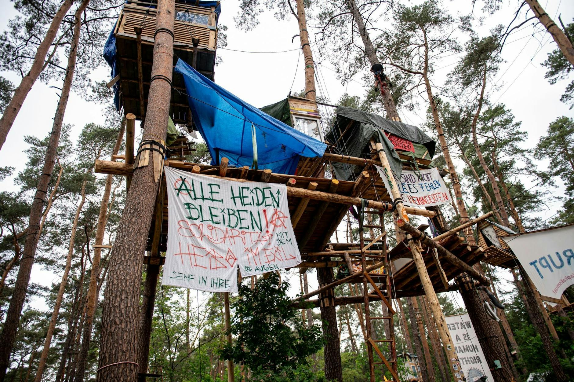 dpatopbilder - Banner hängen zwischen den Baumhäusern des Protest-Camps von der Initiative «Tesla stoppen» in der Nähe der Tesla-Werks.