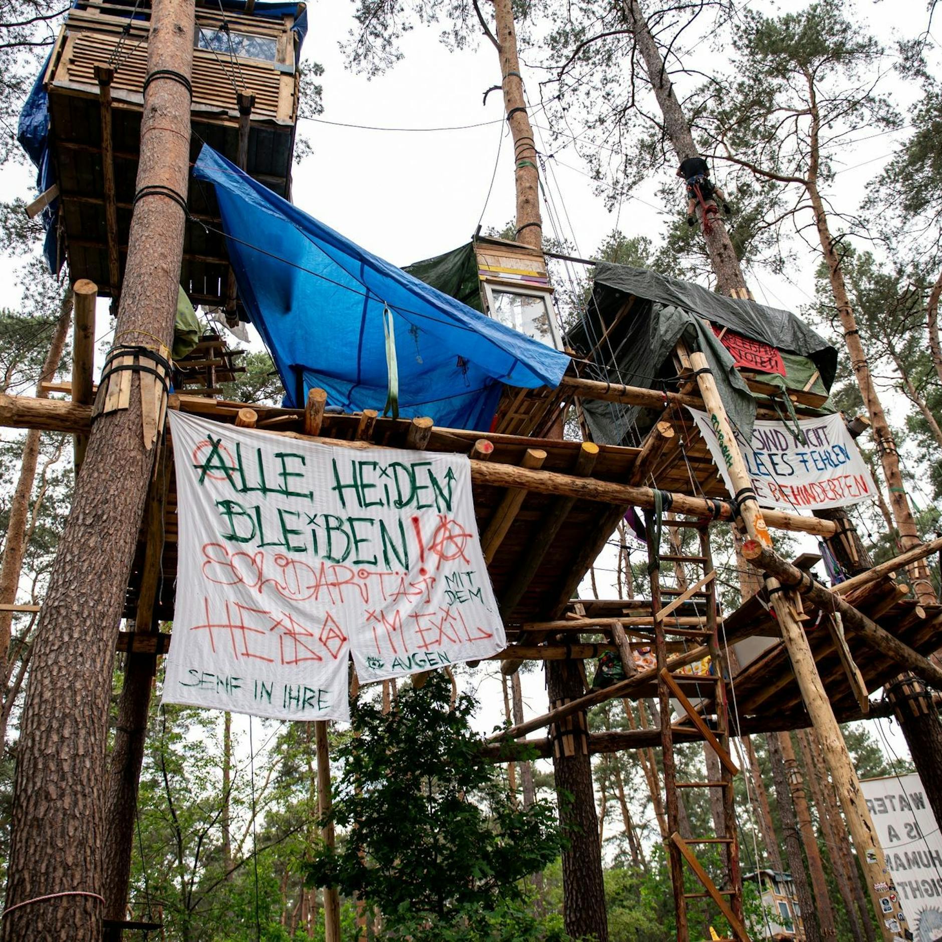 Image - Tesla-Protestcamp geht in die Verlängerung