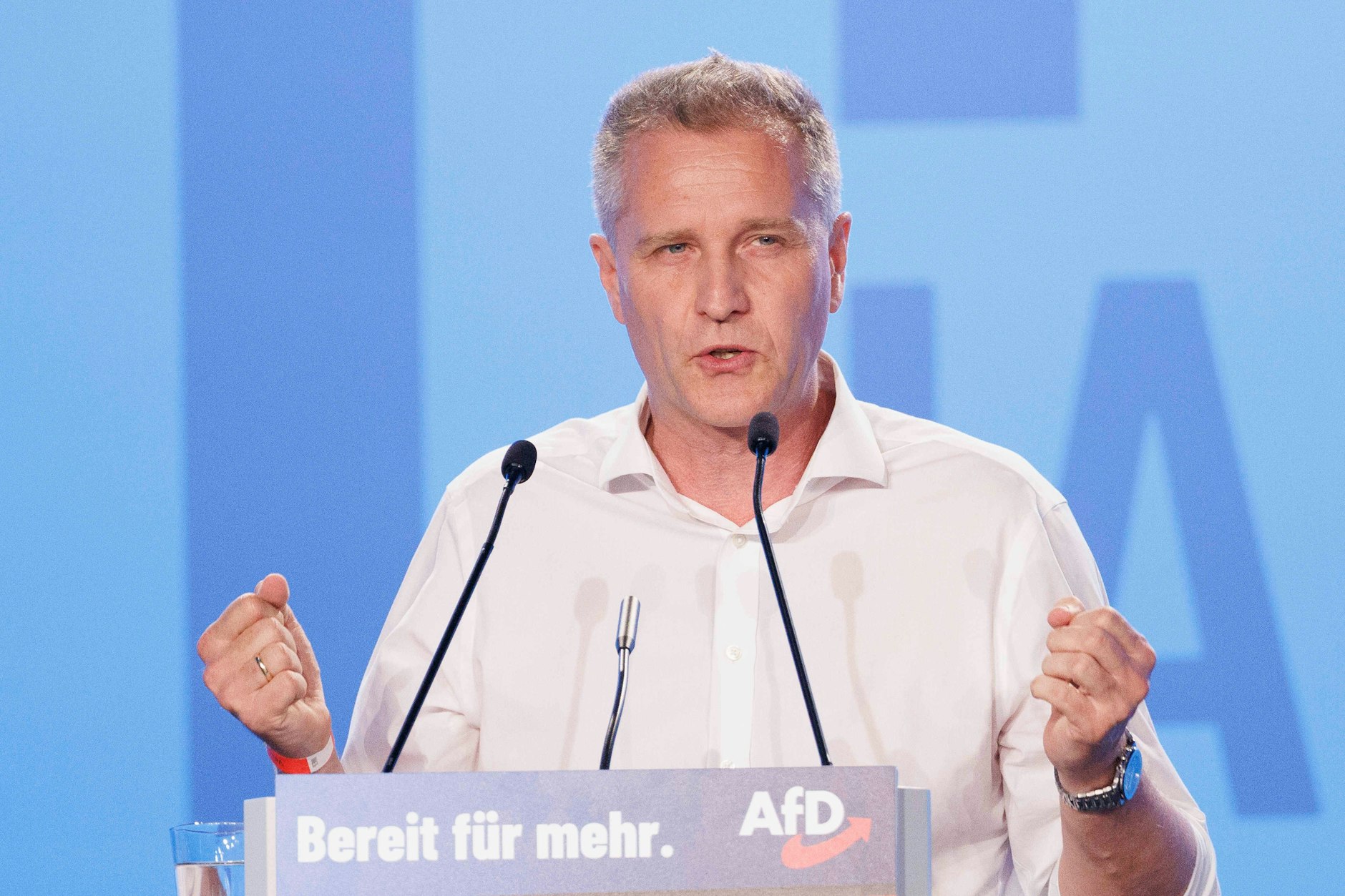Der Bundestagsabgeordnete Petr Bystron (AfD) spricht bei der Europawahlversammlung der Partei in der Messe Magdeburg.