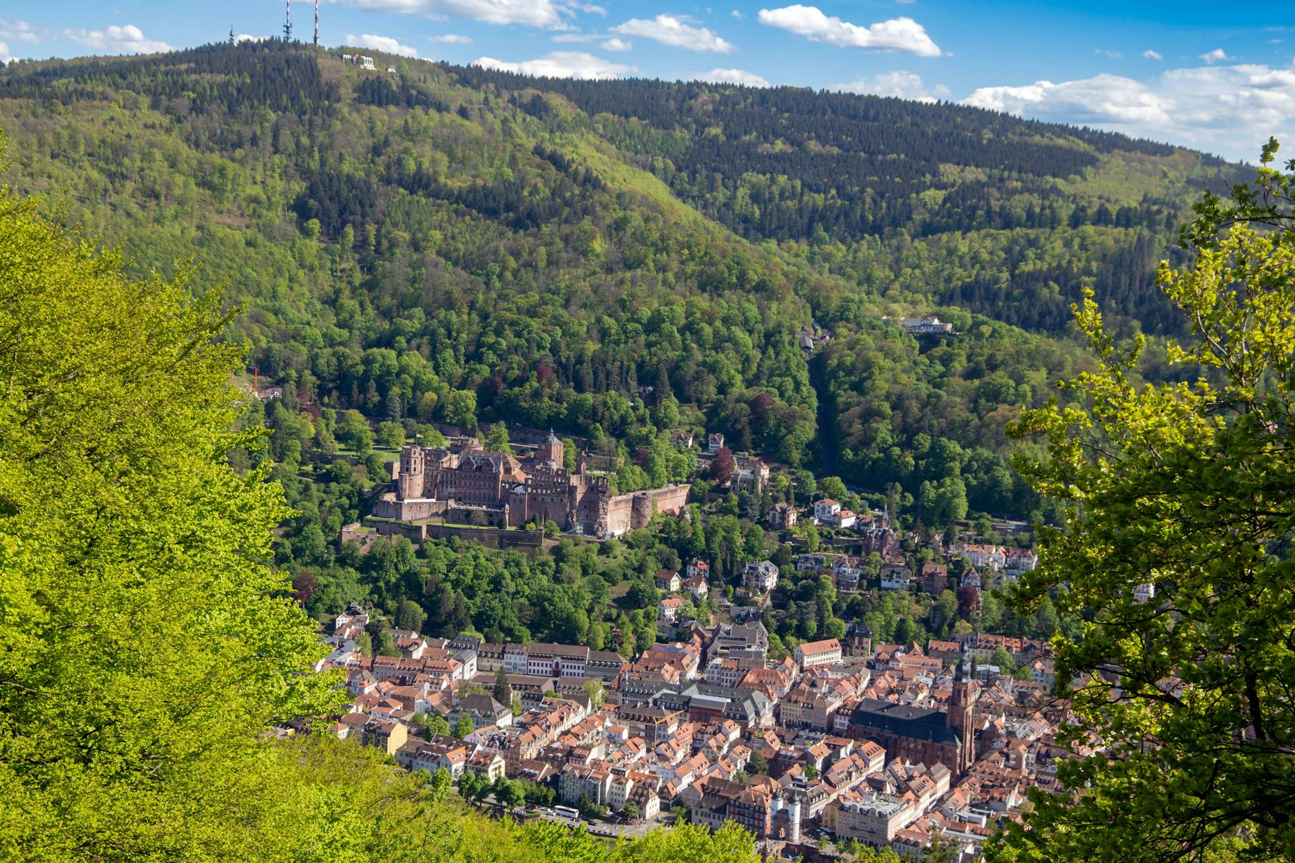 Blick auf das Heidelberger Schloss vom Heiligenberg aus.