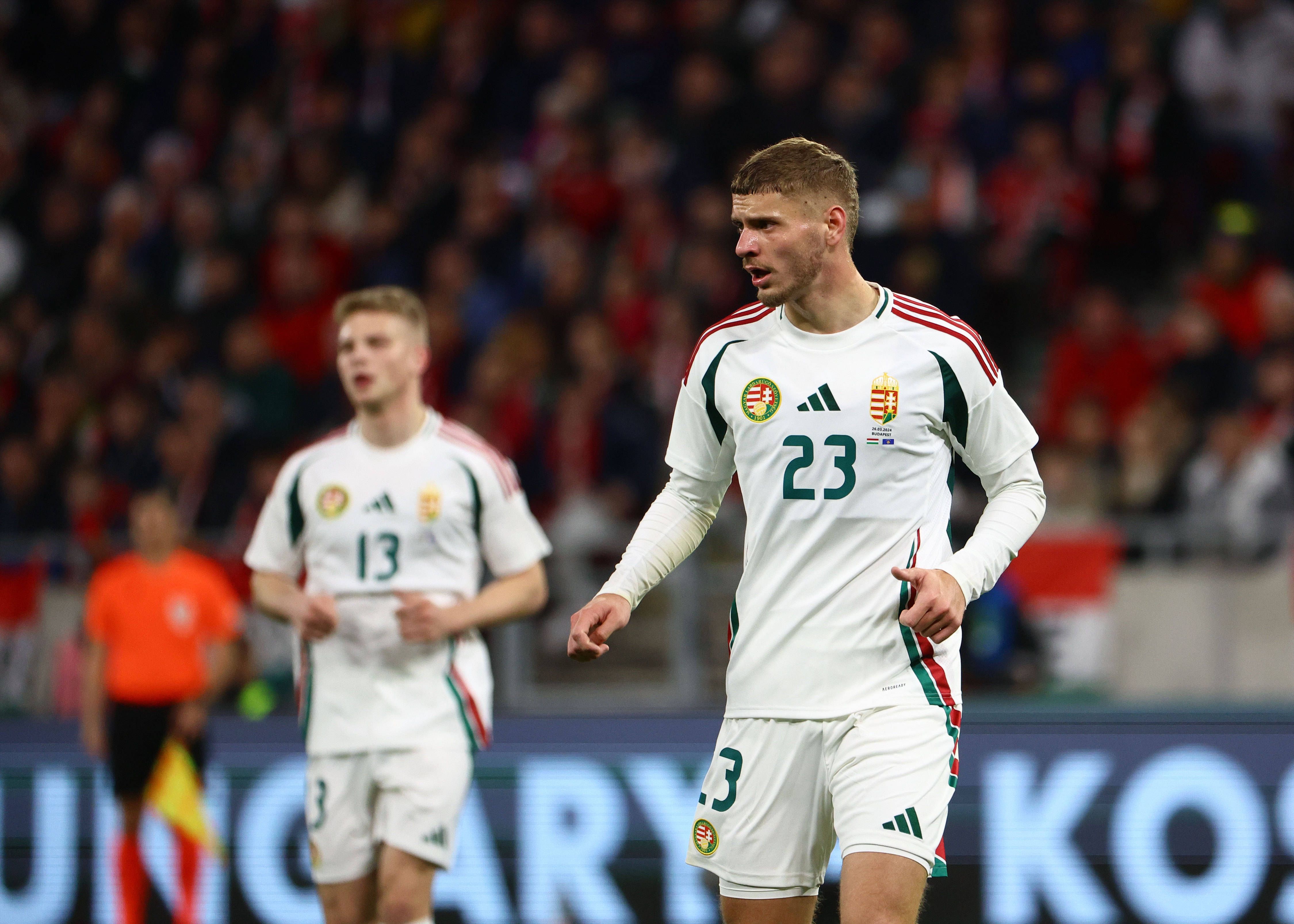 Wieviel Hertha BSC steckt in der EM 2024? Teil 1: Dardai und die Heimat seiner Eltern