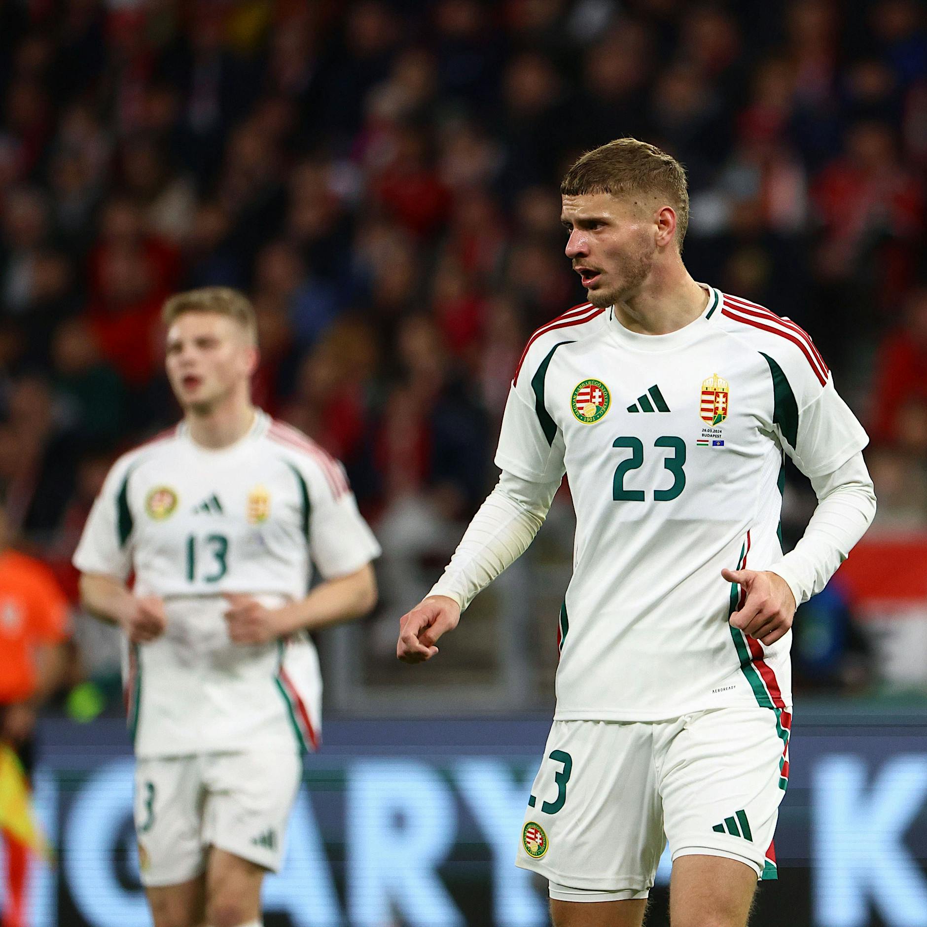 Wieviel Hertha BSC steckt in der EM 2024? Teil 1: Dardai und die Heimat seiner Eltern