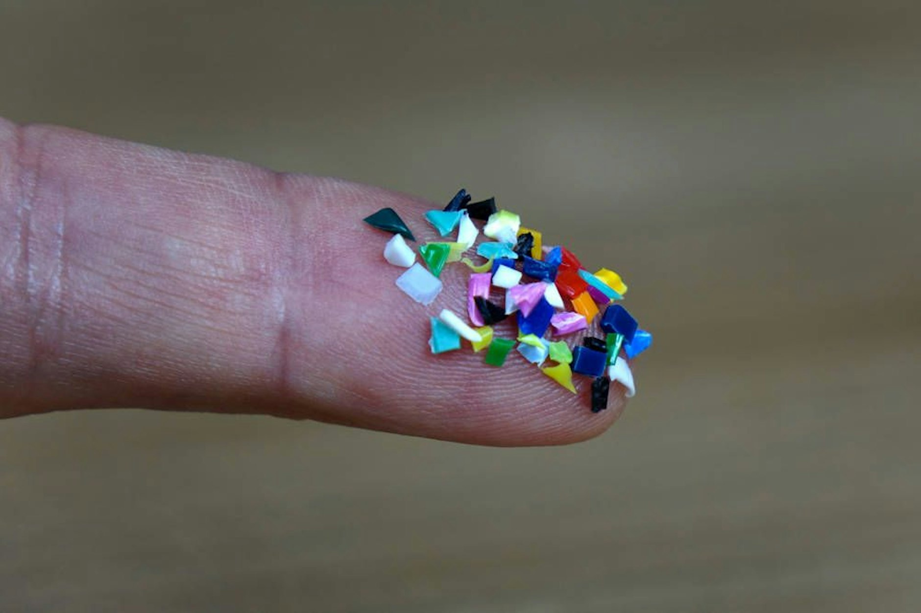 Mikroplastik gelangt immer mehr in den menschlichen Körper. Wie gefährlich ist es?