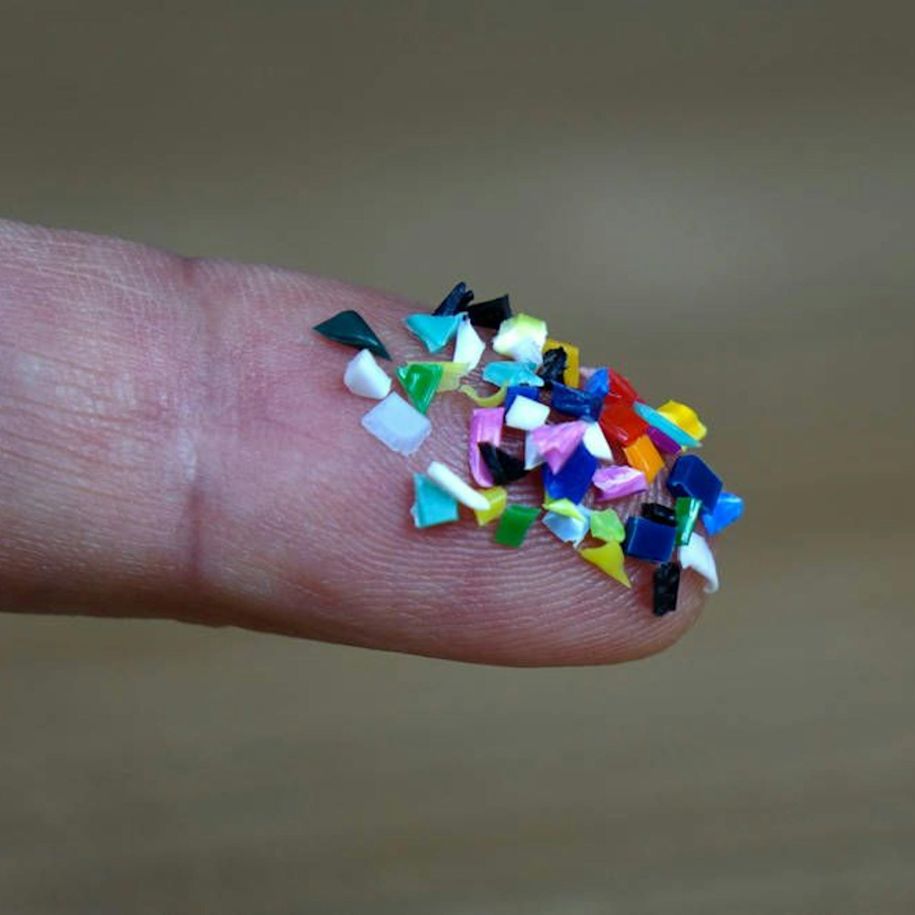 Image - Studie: Mikroplastik in jedem menschlichen Hoden gefunden