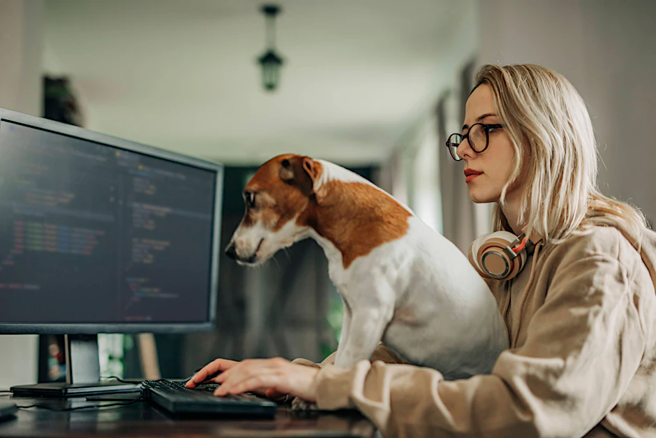 Künstliche Intelligenz erfreut sich hoher Beliebtheit, soll aber auch bestimmten Regeln folgen.