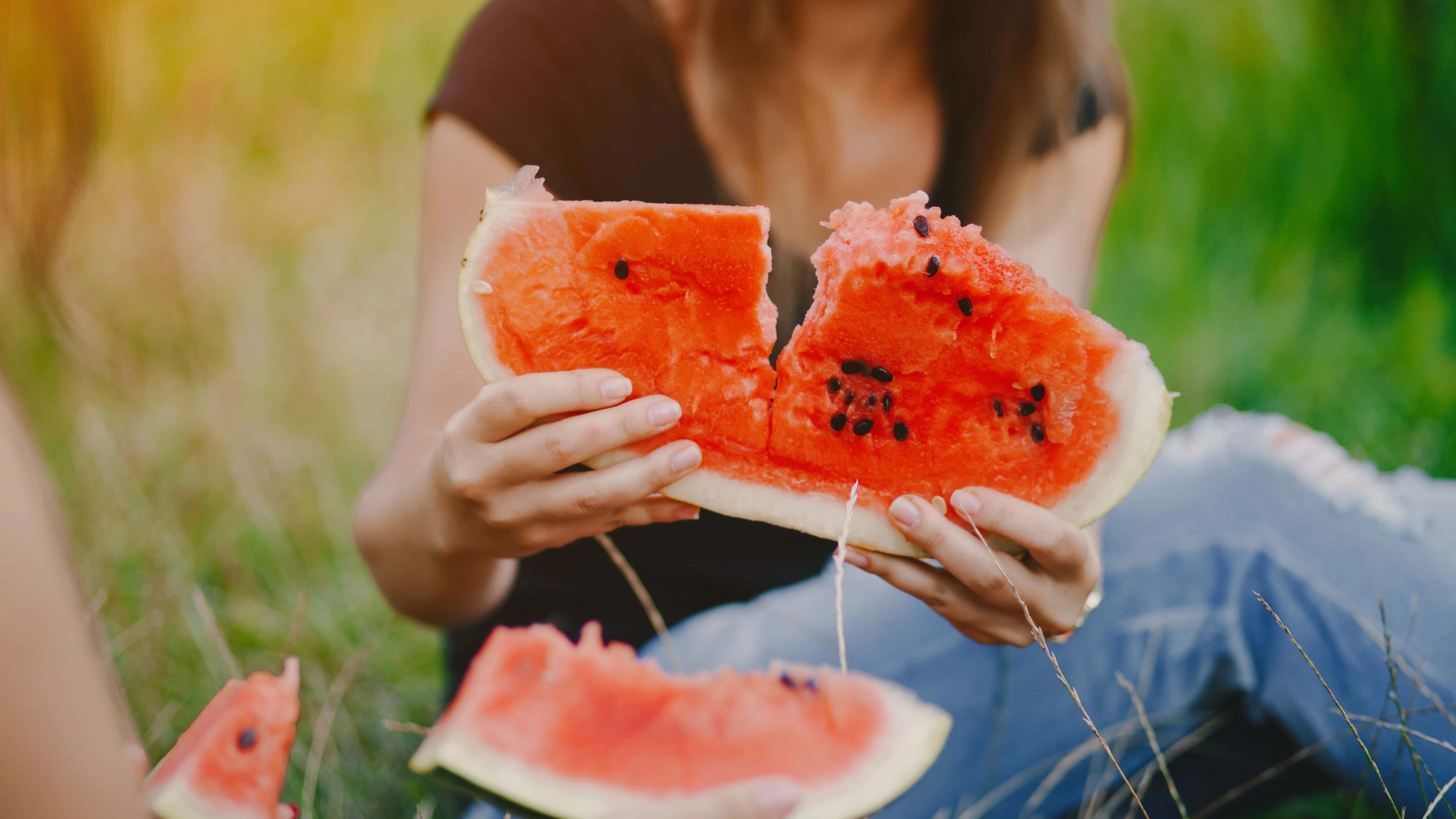 Die Wassermelone ist ein klassischer Sommer-Snack. Bei Hunden müssen Sie allerdings aufpassen.