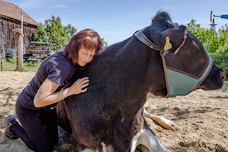 Simone John kuschelt mit der schwarz-bunten Holstein-Kuh Barbara.