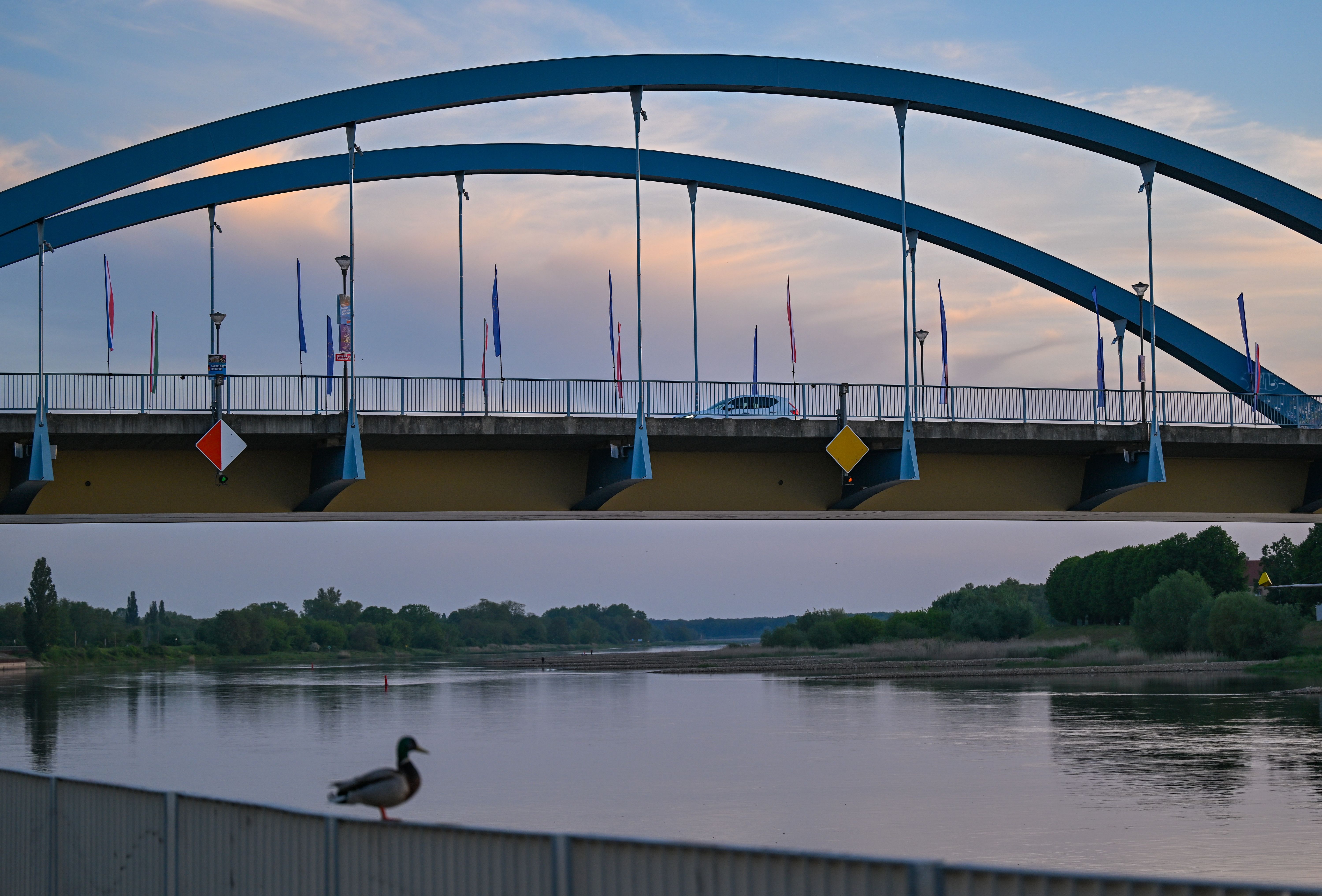 De La Habana a Fráncfort del Oder: Lo que viví en el puente a Polonia