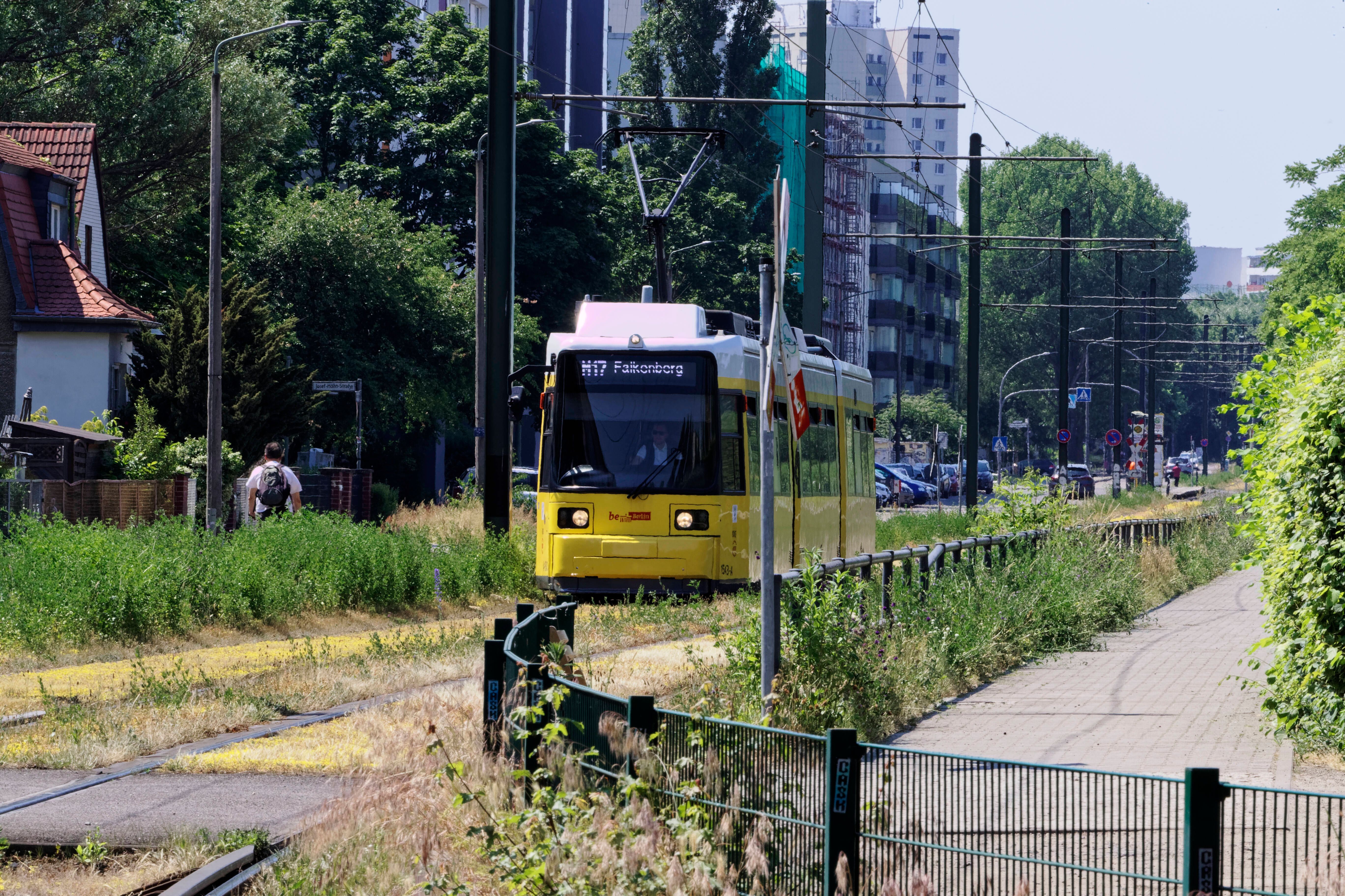 BVG: Tram-Verkehr Freitag zeitweise eingeschränkt