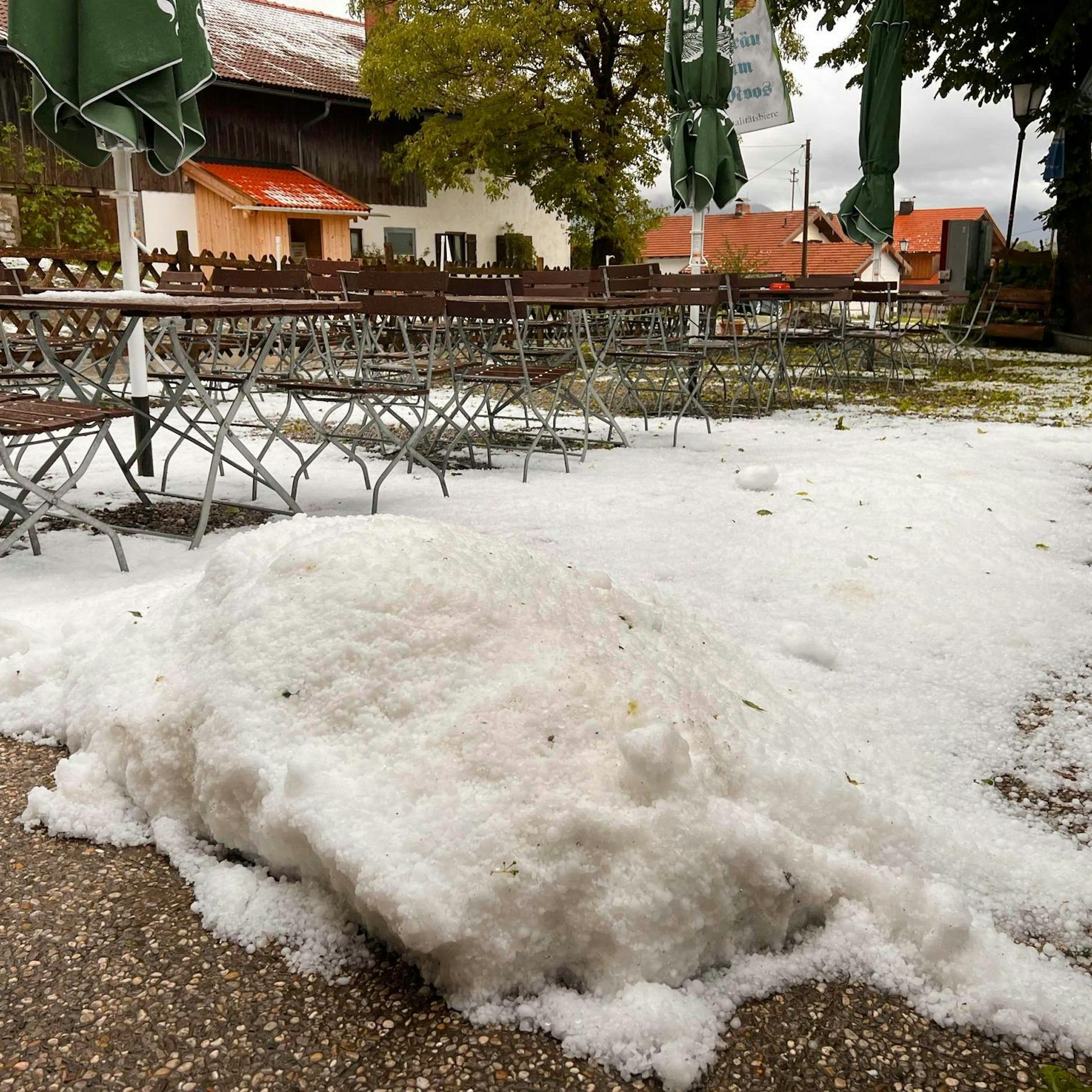 Image - Bilder des Tages