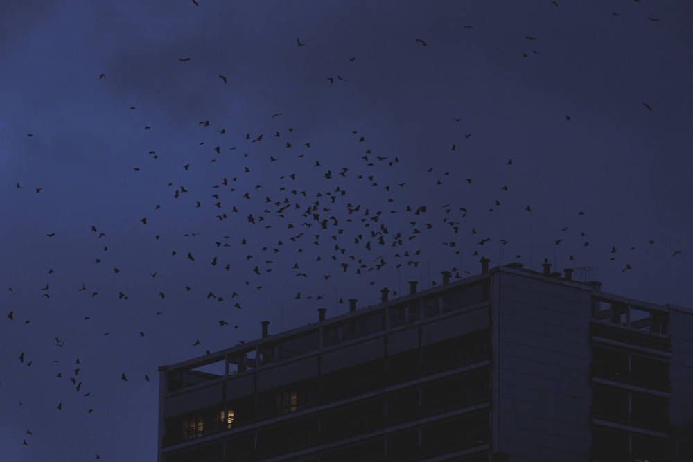 Tempelhof-Schöneberg: Diskussion zu „maßlosen“ Mietnachzahlungen