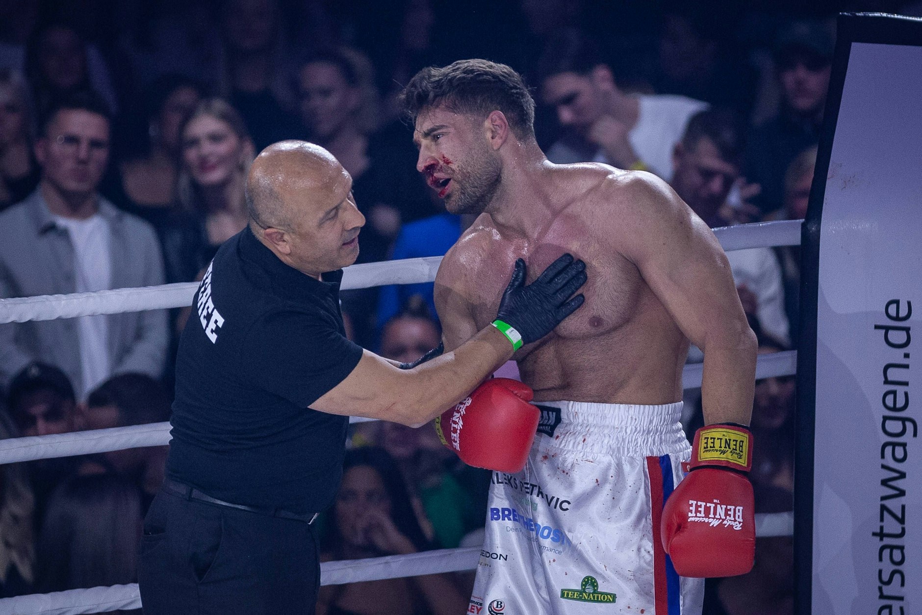 Hat Aleksandar Petrovic Angst, gegen Can Kaplan zu boxen, weil er im letzten Jahr verlor?