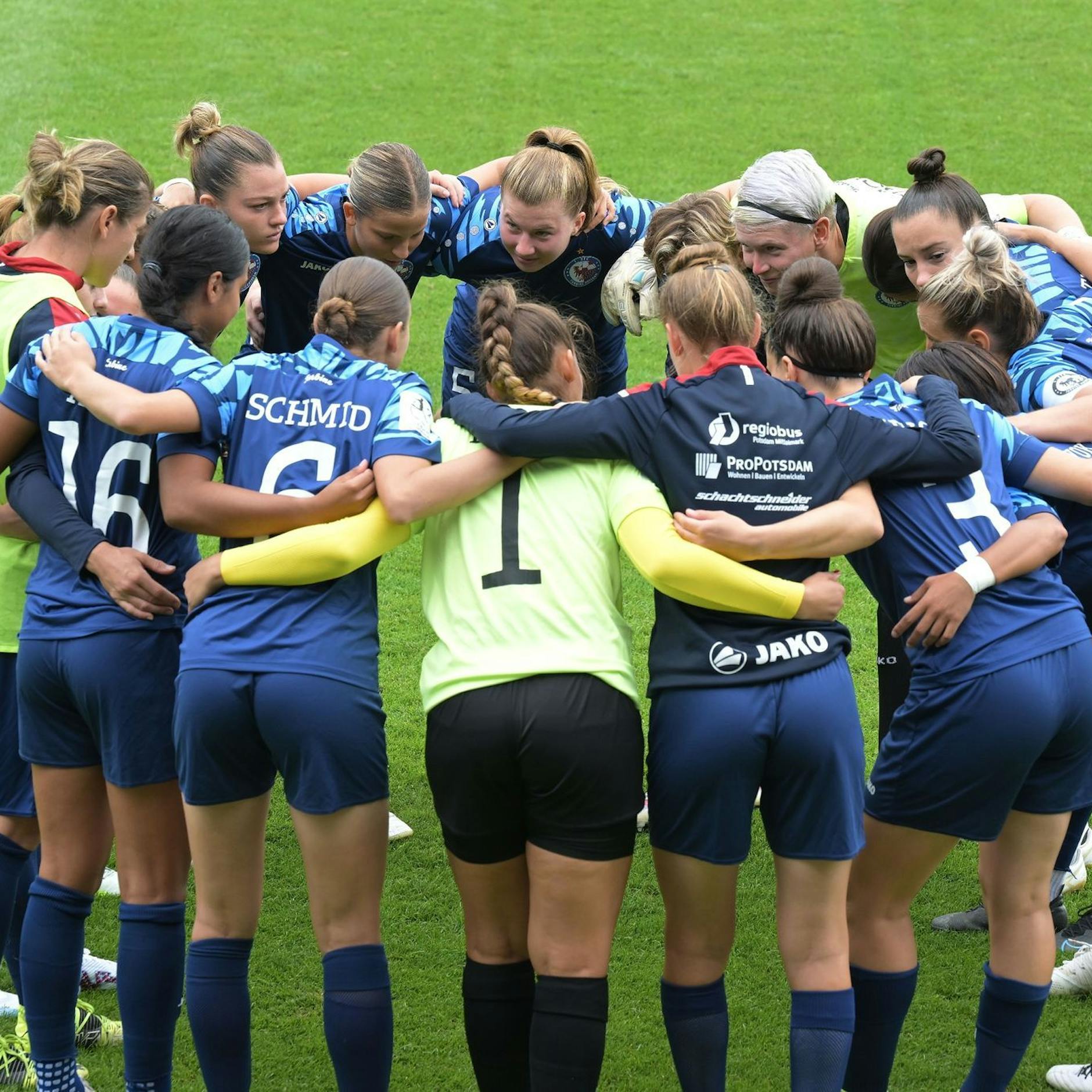 Image - Turbine Potsdam ist zurück in der Bundesliga