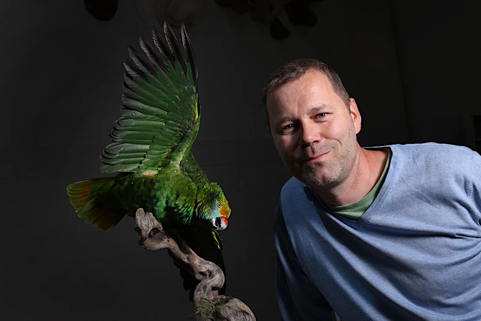 Eine Blaubrauenamazone und ihr Präparator Robert Stein, der im Naturkundemuseum besonders für Vogel-Präparate verantwortlich ist.