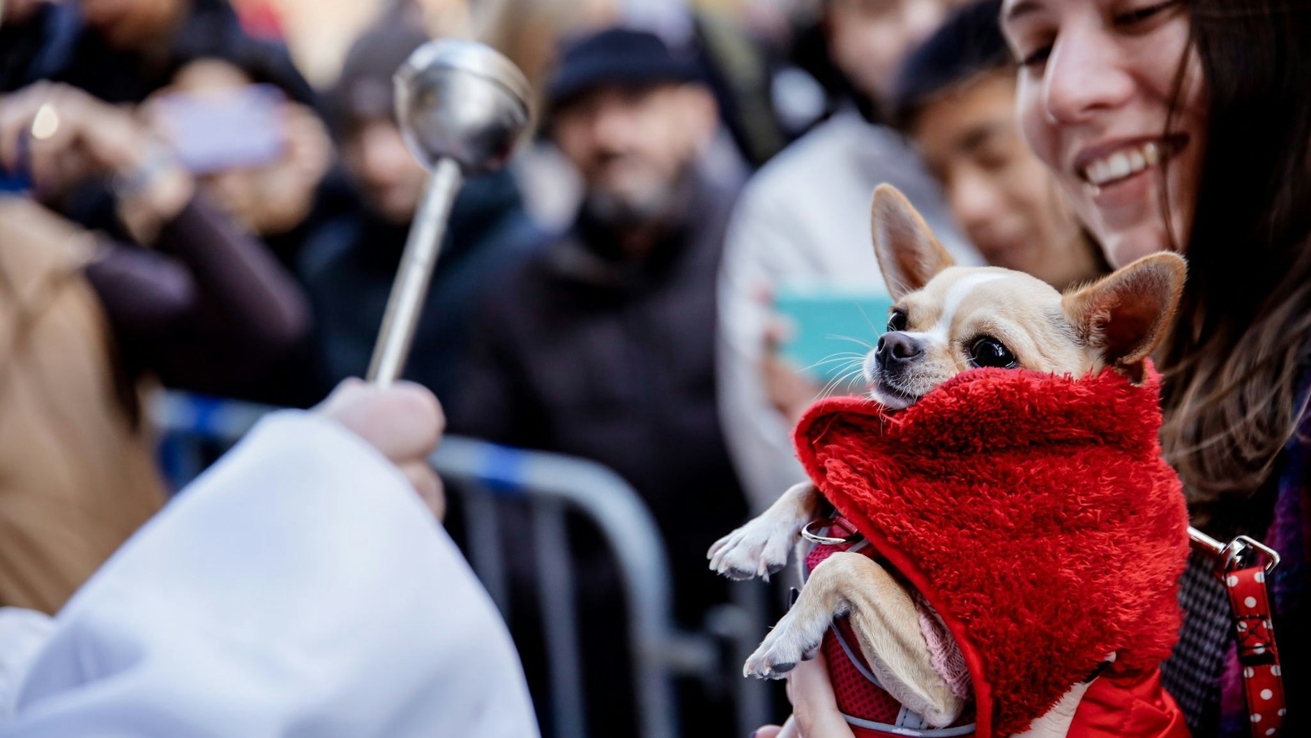 Amen! Ein Hund wird vor der Kirche San Anton in Madrid während des Festes des Heiligen Antonius, des Schutzpatrons der Tiere, von einem Priester gesegnet.&nbsp;