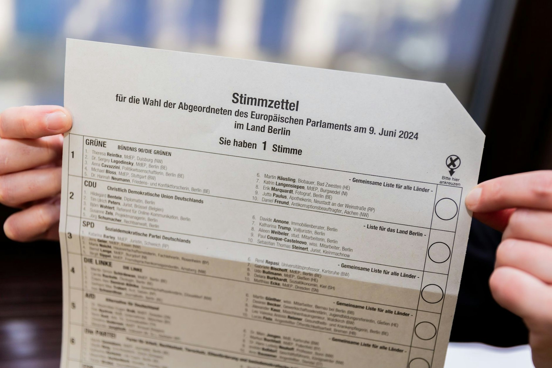 Die Berliner haben am 9. Juni die Wahl der Qual, wen sie ins EU-Parlament wählen. 