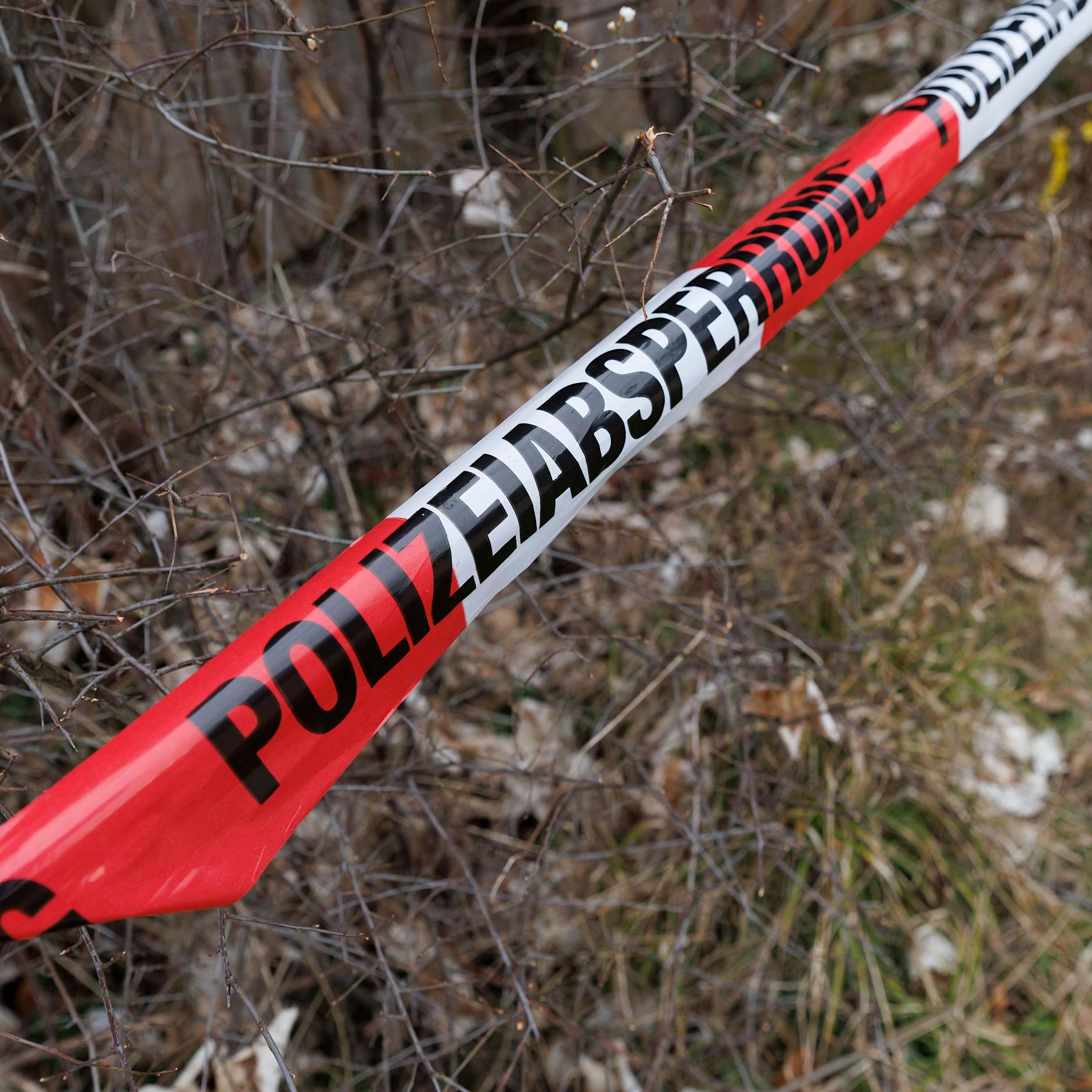 Tote Frau in Wald gefunden: Polizei zeigt DIESE Fotos von der Leiche