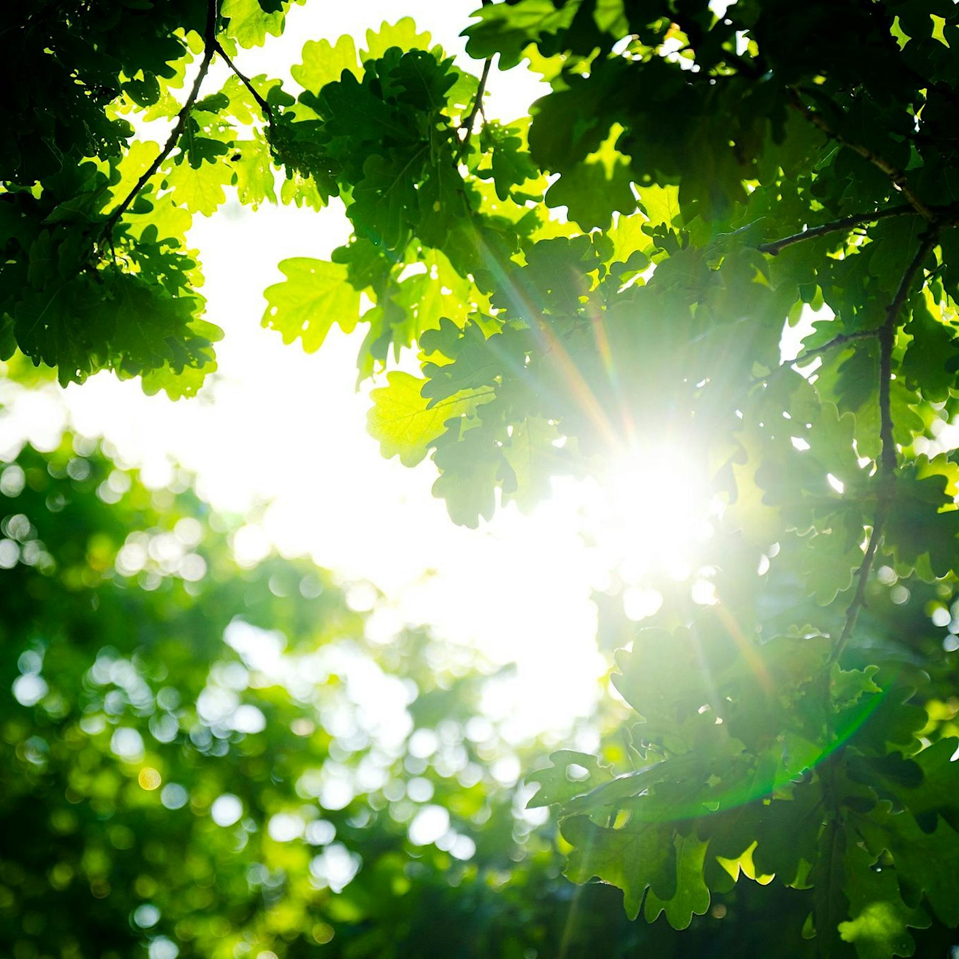 Rekordtemperaturen und Extremniederschläge im Frühjahr