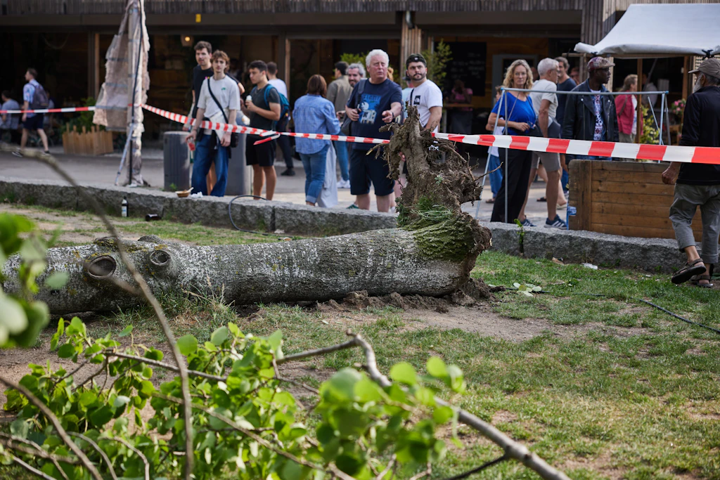Polizei-Ticker: Baum im Mauerpark stürzt auf Menschengruppe – drei Verletzte