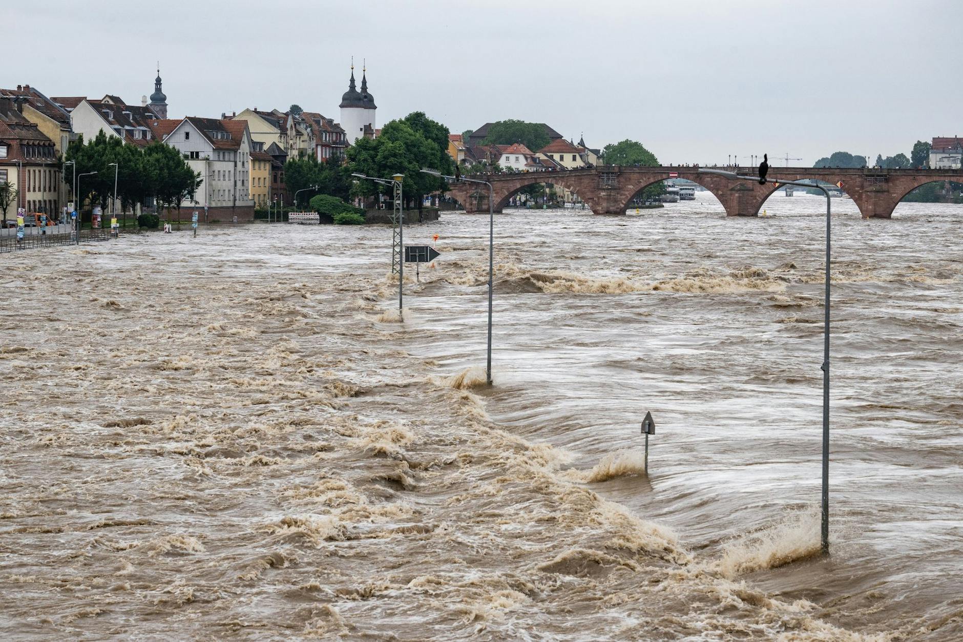 Der Neckar ist auf Höhe der Altstadt von Heidelberg über die Ufer getreten.
