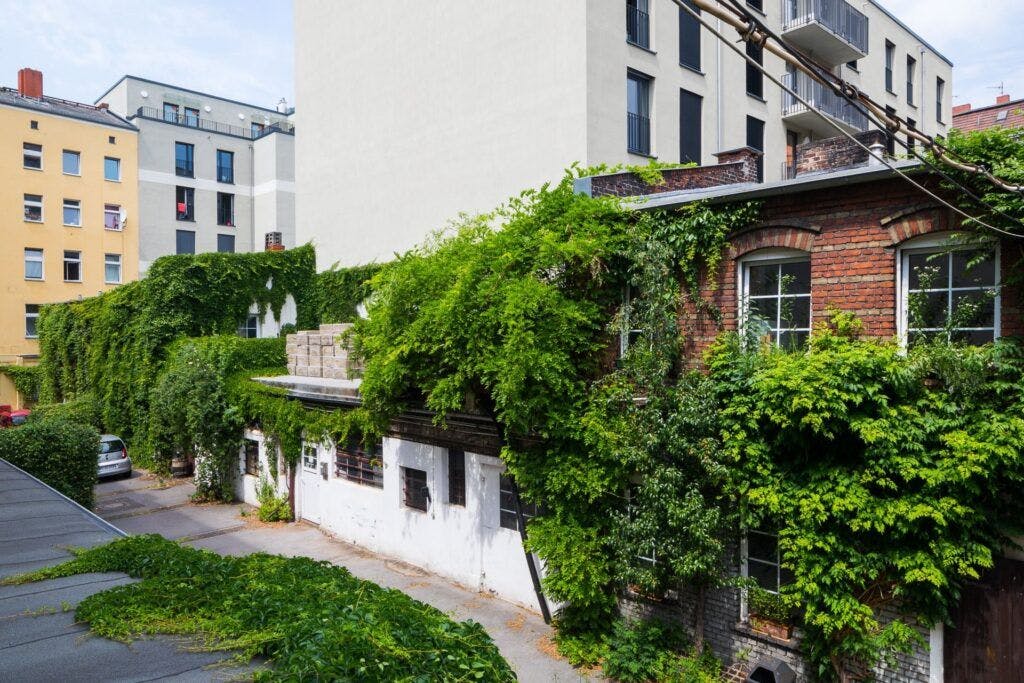 Die Berliner Regenwasseragentur, eine Initiative der Senatsverwaltung für Mobilität, Verkehr und Umwelt sowie der Berliner Wasserbetriebe, hat den Kulturhof Koloniestraße 10 in ihre Datenbank der Schwammstadtprojekte übernommen.