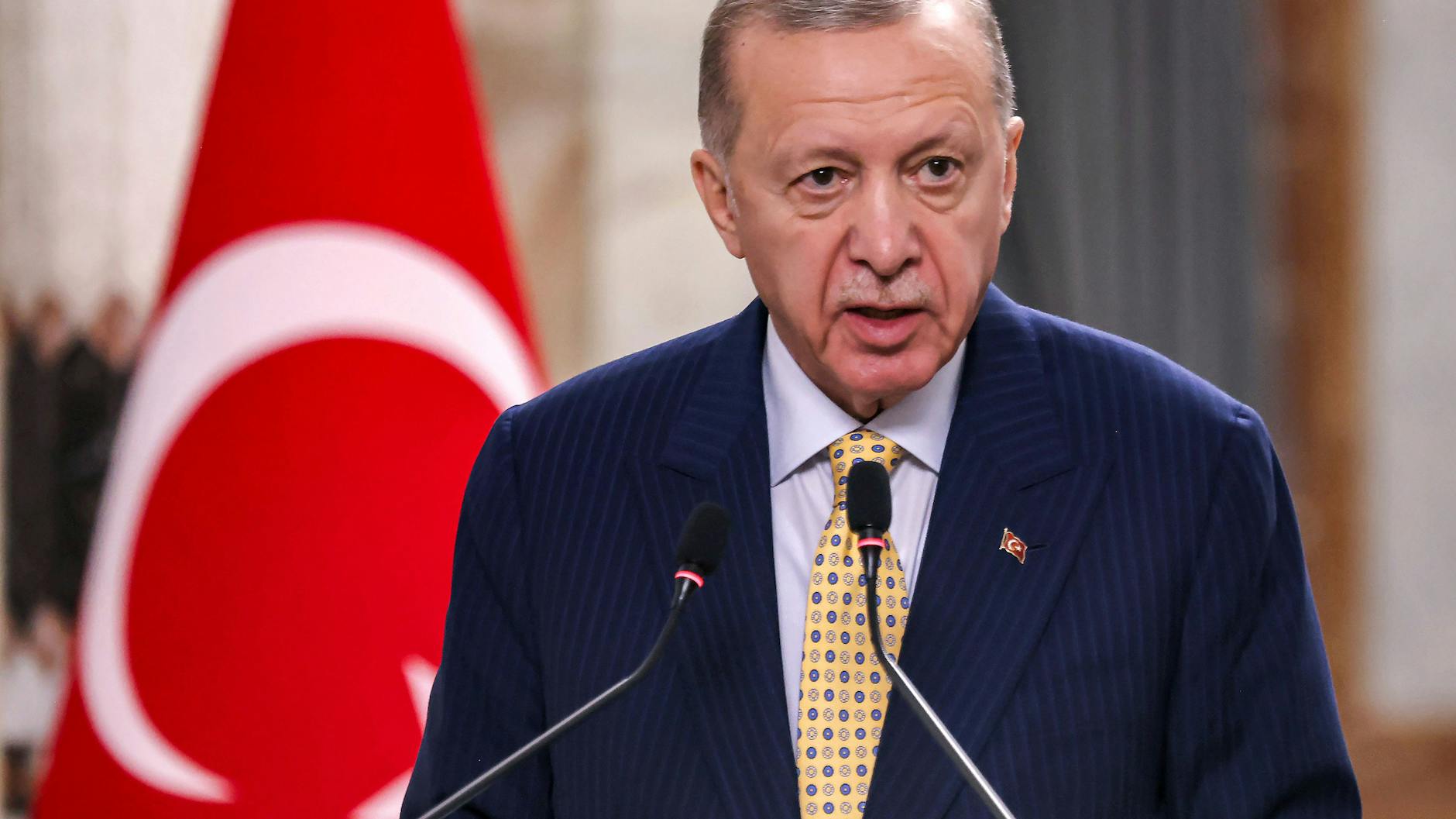 Präsident Erdogan plant offenbar, herrenlose Hunde töten zu lassen.