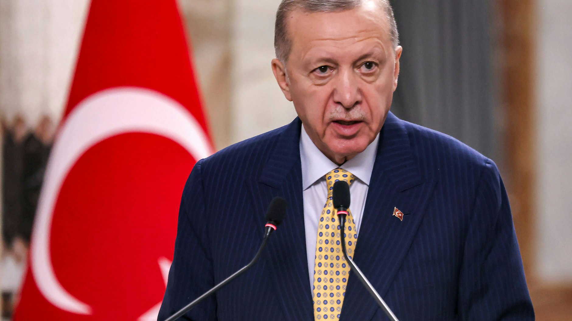 Präsident Erdogan plant offenbar, herrenlose Hunde töten zu lassen.