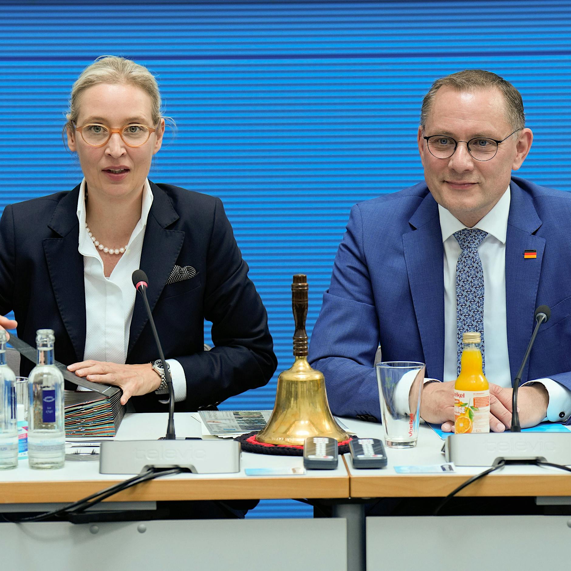 AfD-Spitze rechtfertigt Zulagenerhöhung: Doppelte Beträge für Parteiunterstützung