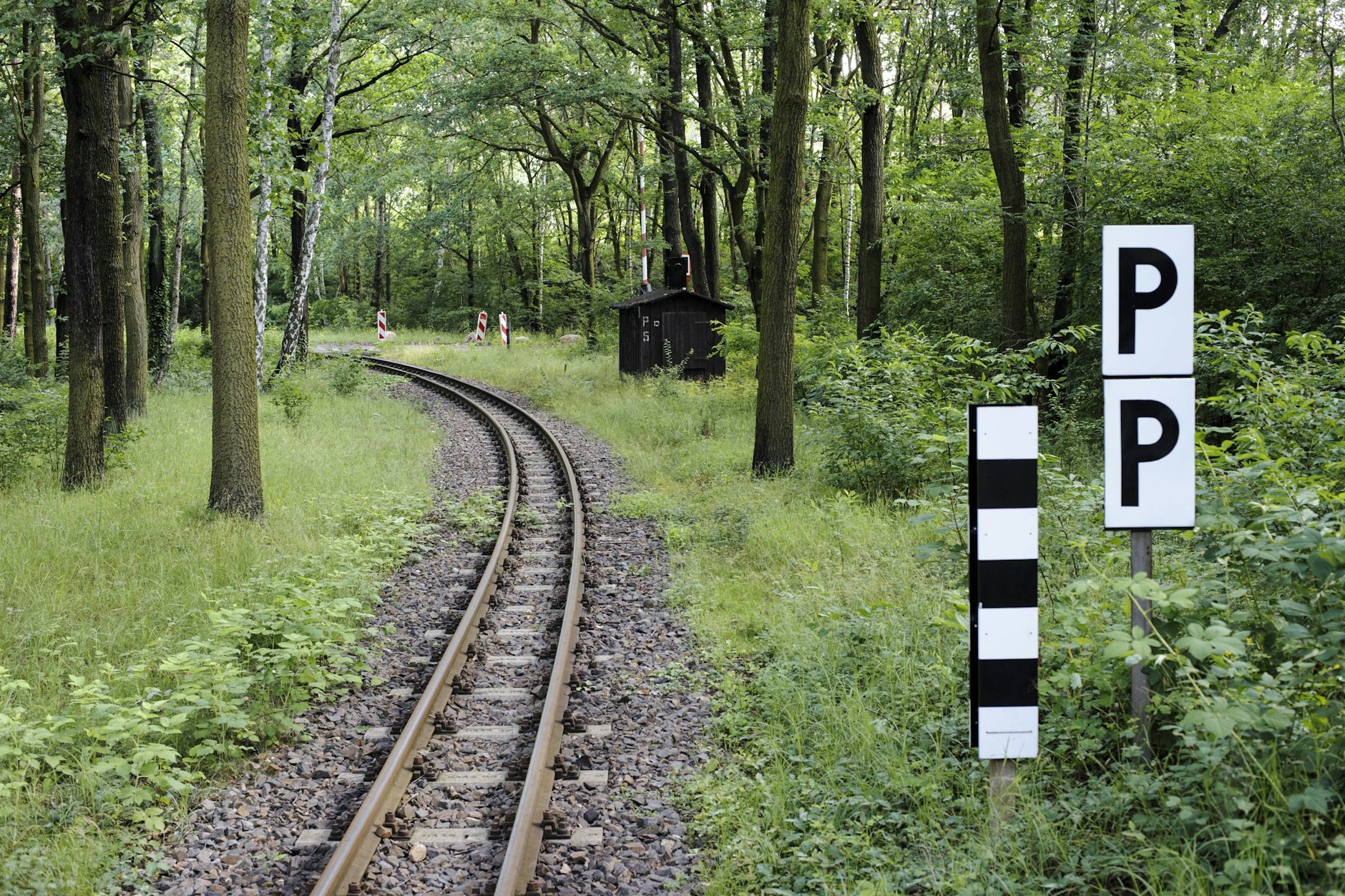 In der Wuhlheide werden neue Wegweiser und Infotafeln gebaut – für über eine halbe Million Euro.